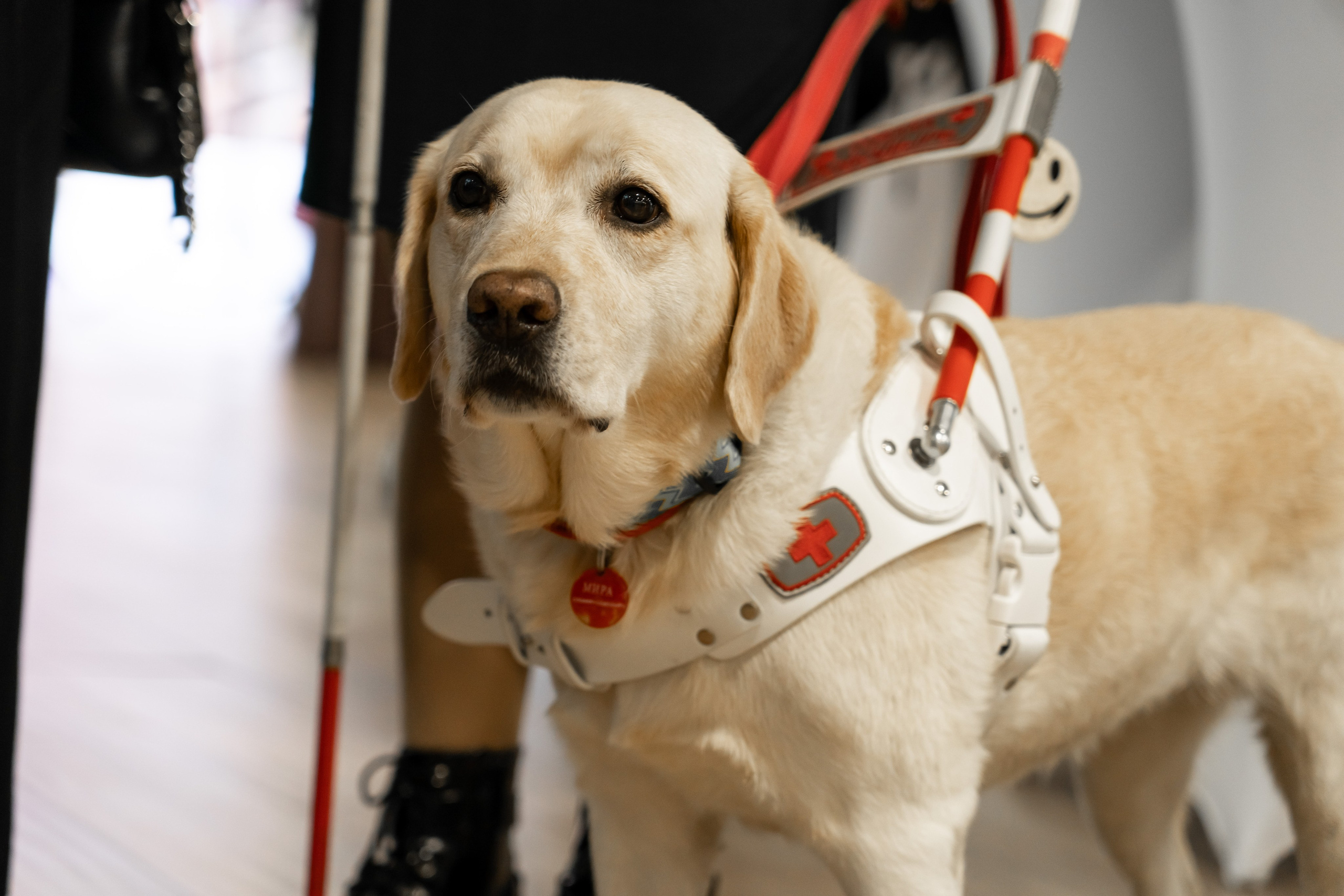 Сколково бизнес форум. Наталия Фролова. Фотограф. Москва