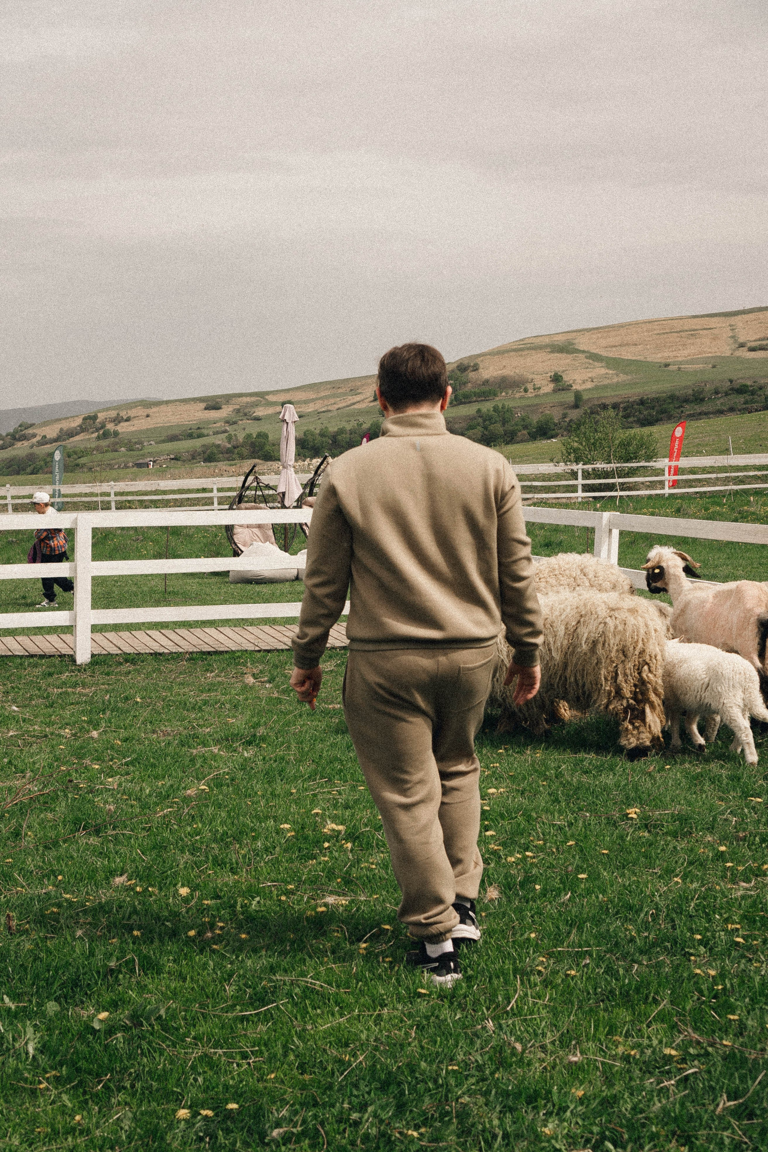 Ферма Альпак. Профессиональный фотограф, Санкт-Петербург — Виктория Богомолова