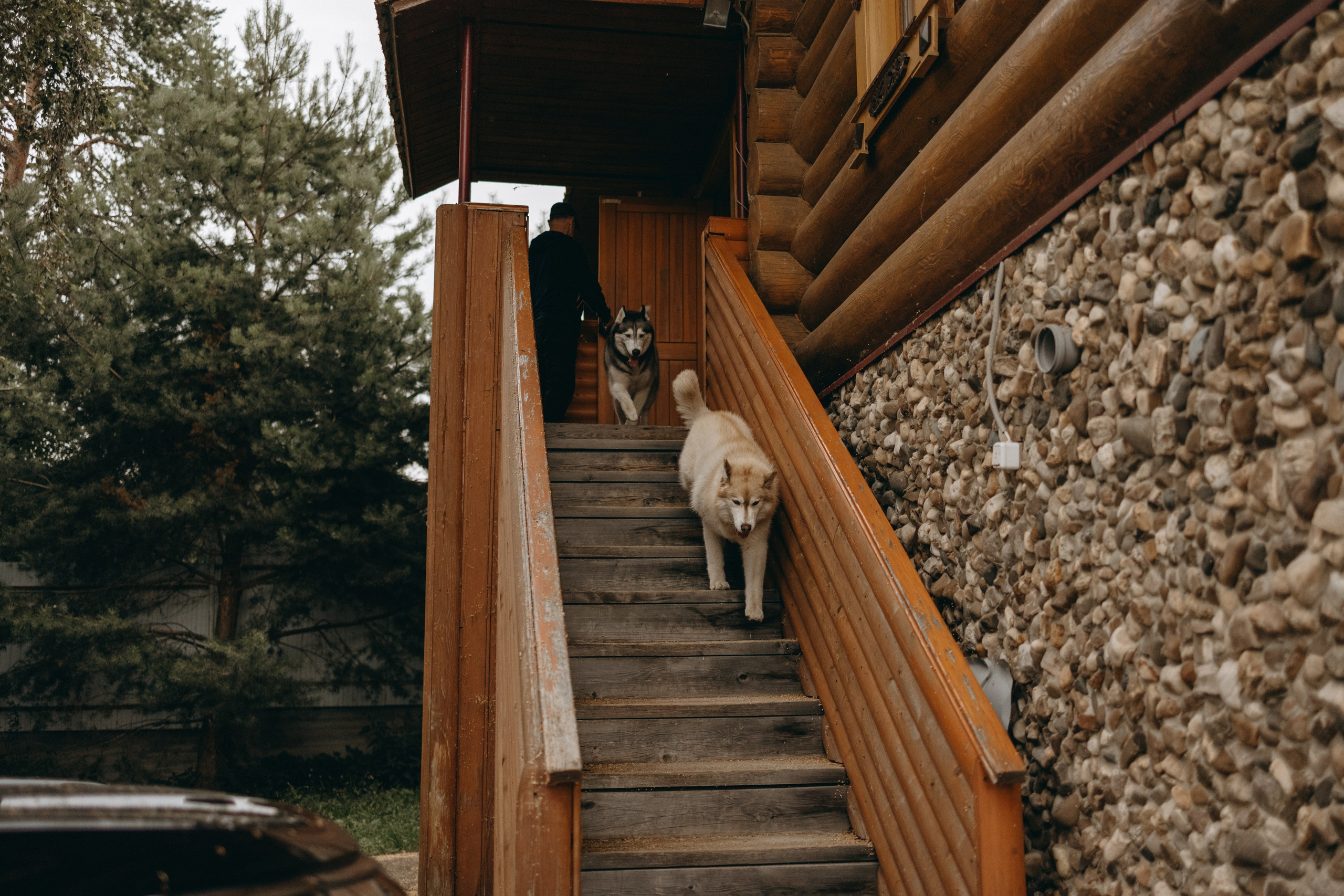 Дом у реки. Фотограф — Анималист | Санкт-Петербург