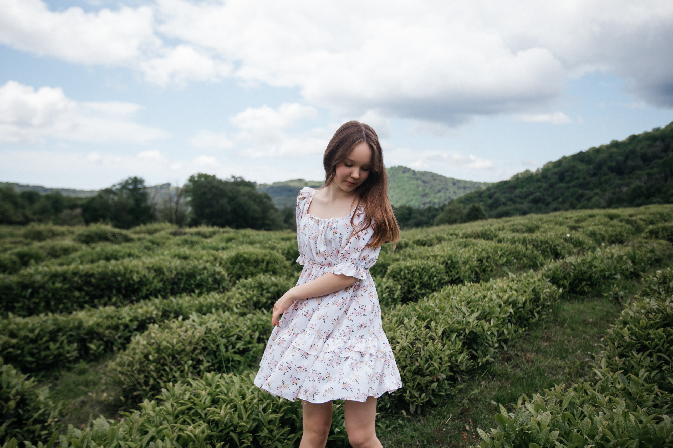 Tea plantation. Efimova Model Agency