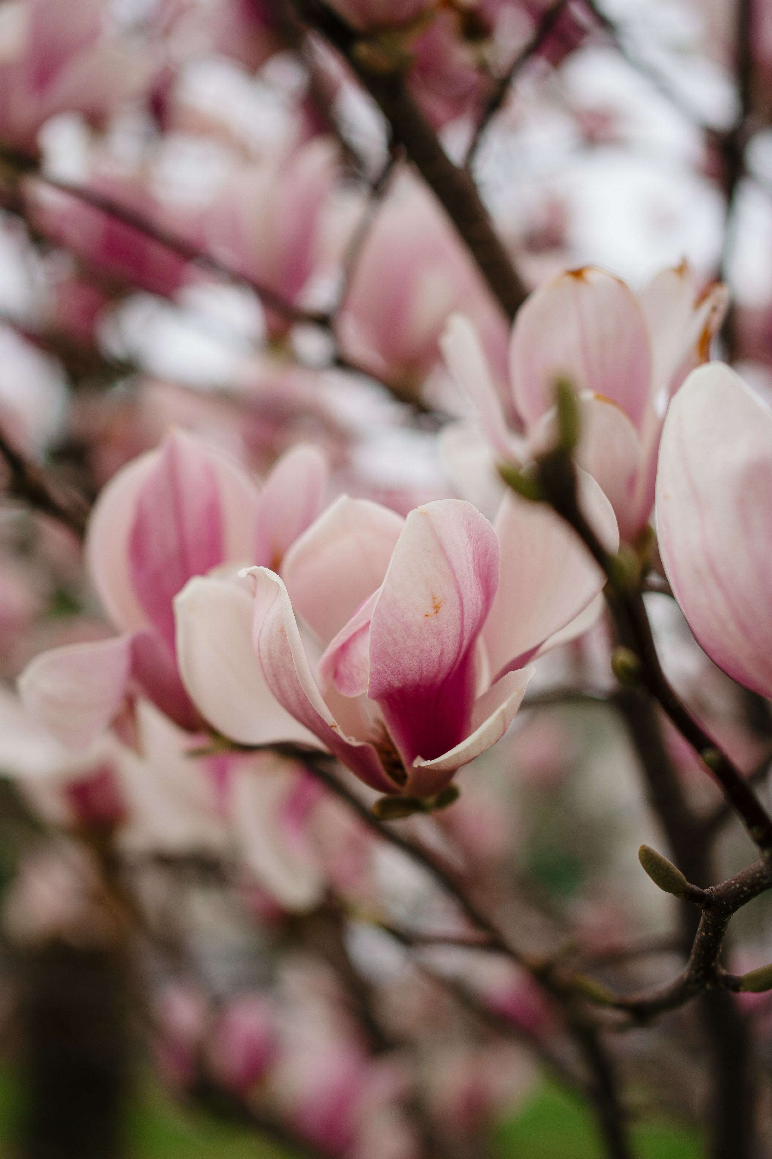 Dance. Фотограф / видеограф в Москве и Сочи Sofia Riversong
