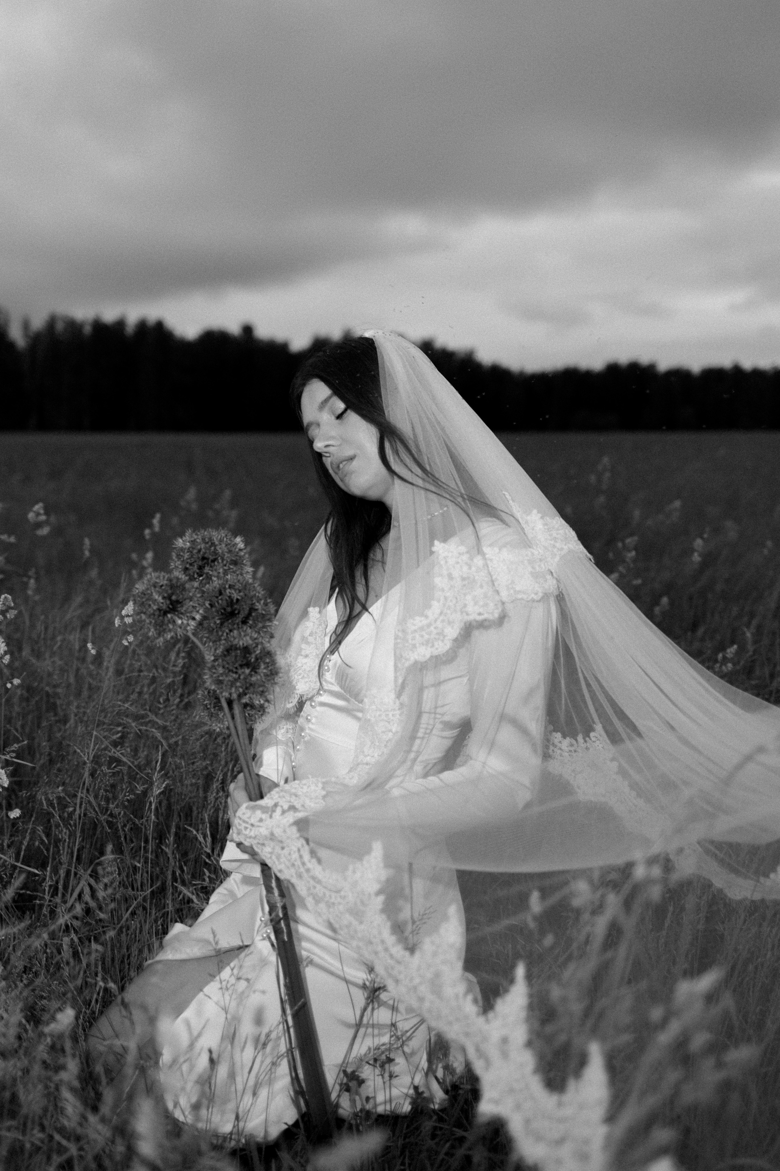 Утро невесты в поле