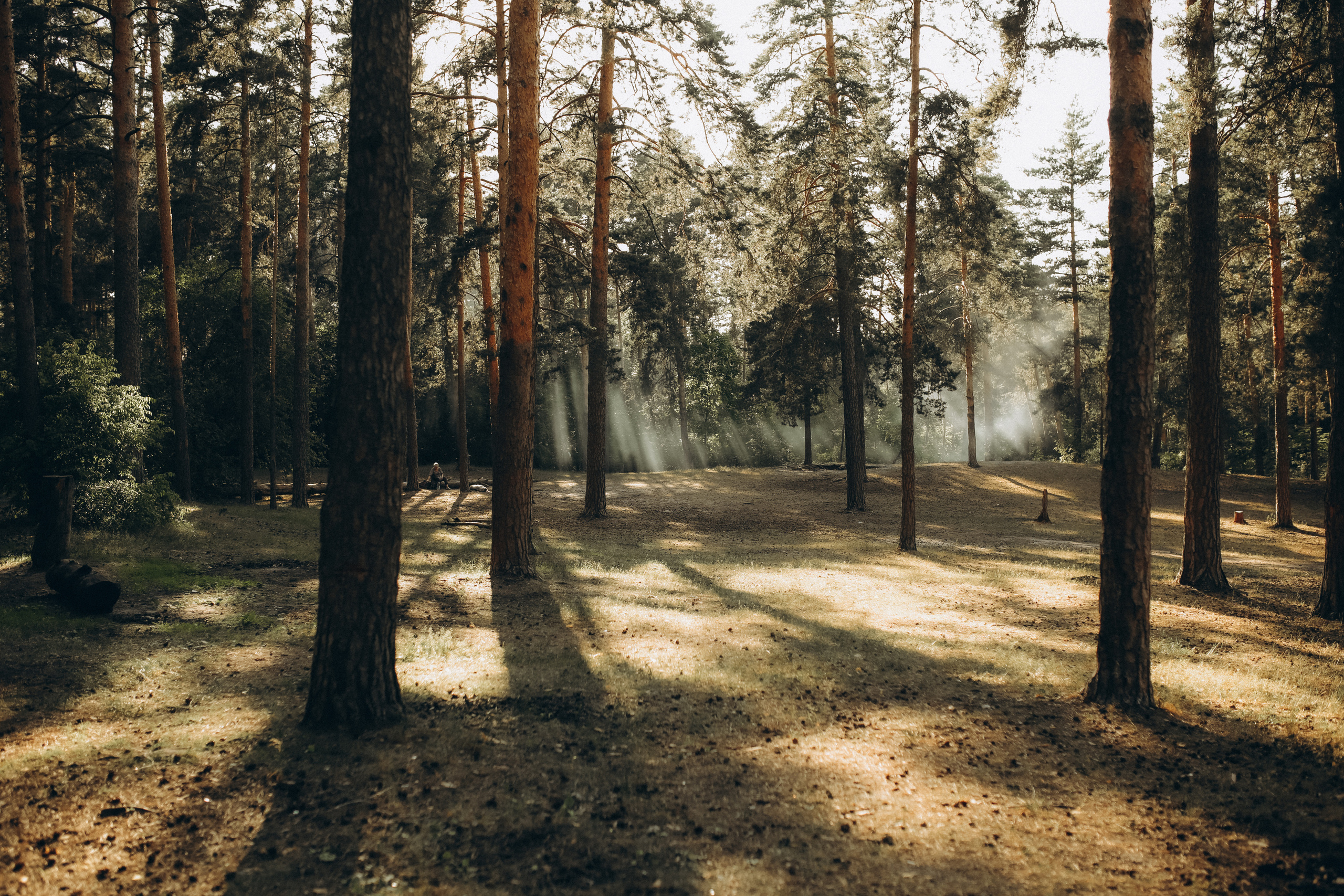 Тамара и сынишка Вадим. Семейный фотограф в Москве и Люберцах Юлия Гуськова