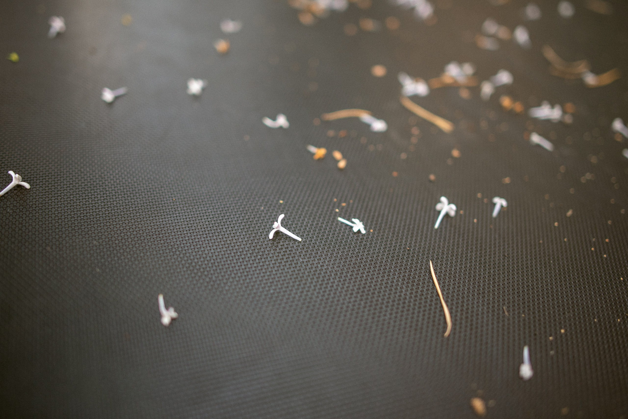 A Single Summer Day. Documentary family photography in Barcelona and beyond