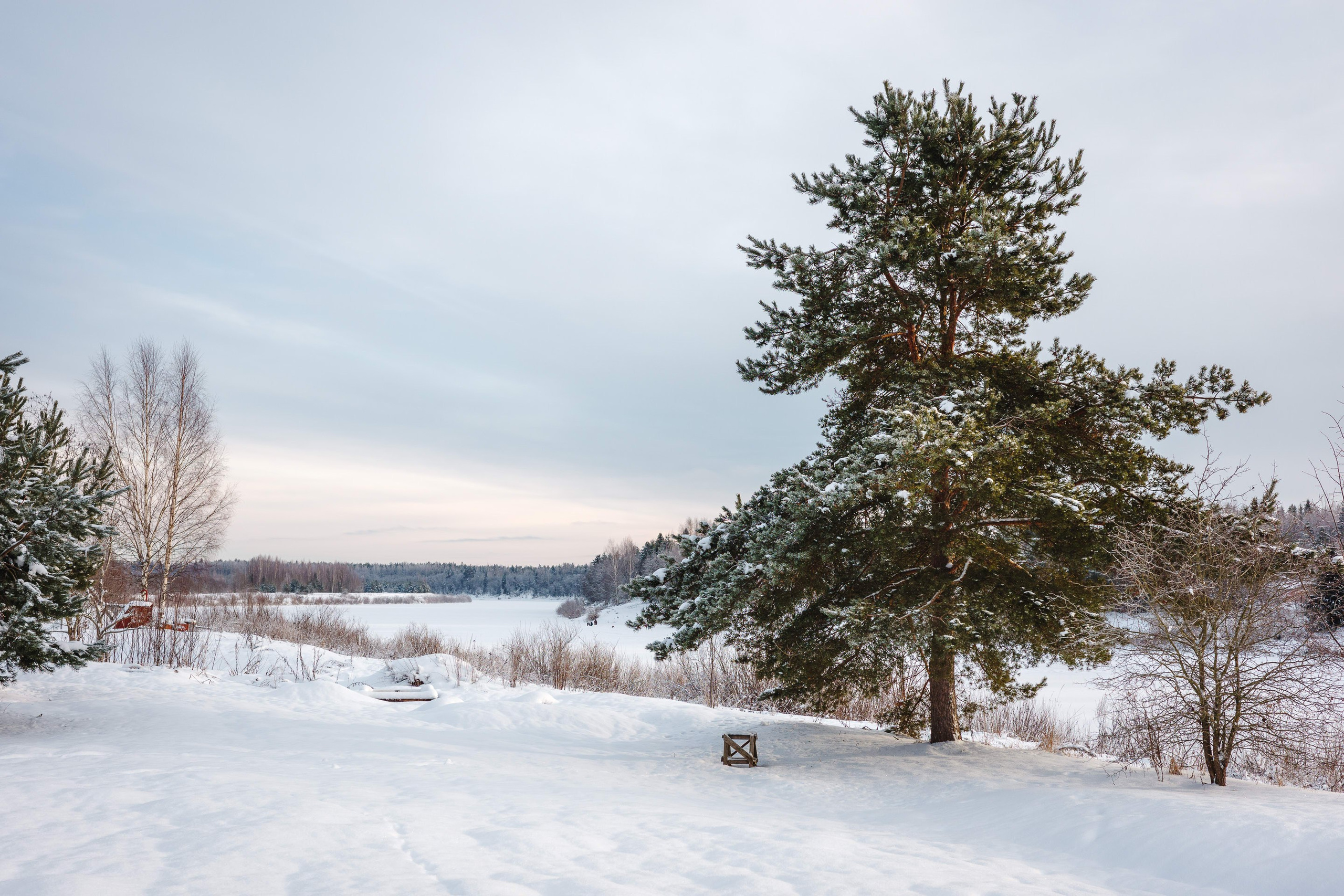 2024.01. Фотограф Алексей Алексеев