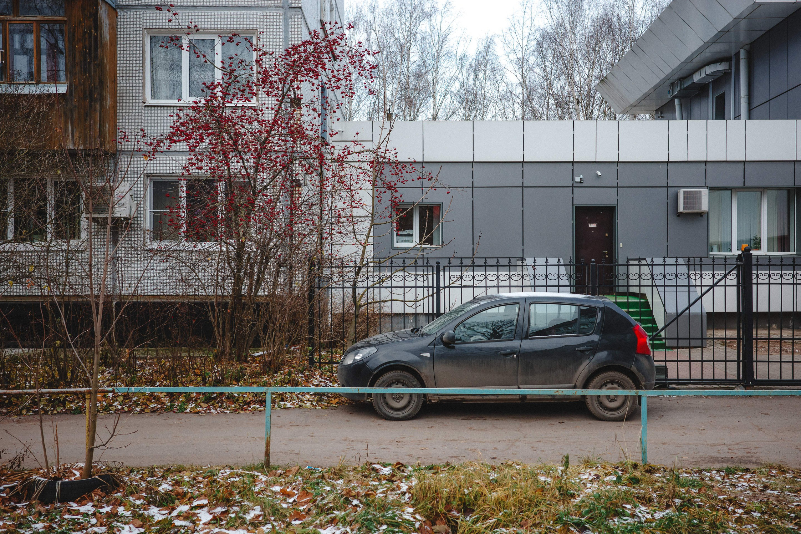 2023.11. Фотограф Алексей Алексеев