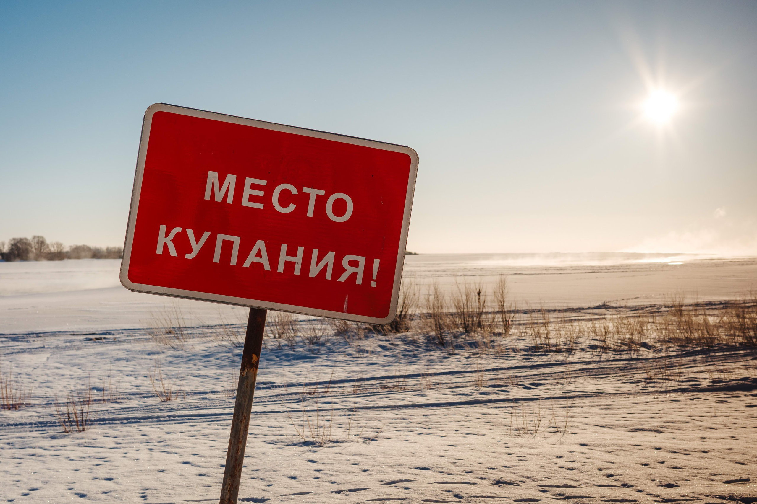 2024.01. Фотограф Алексей Алексеев