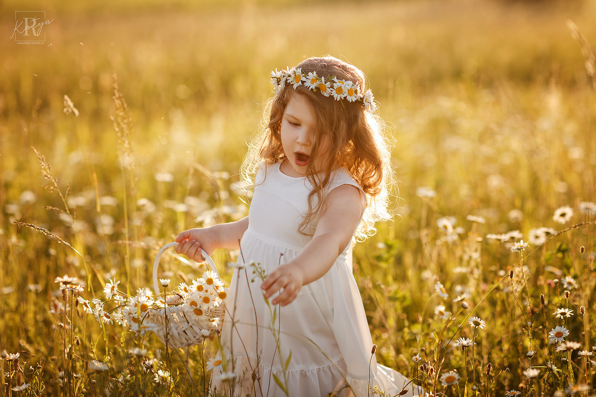 девочка в ромашковом поле