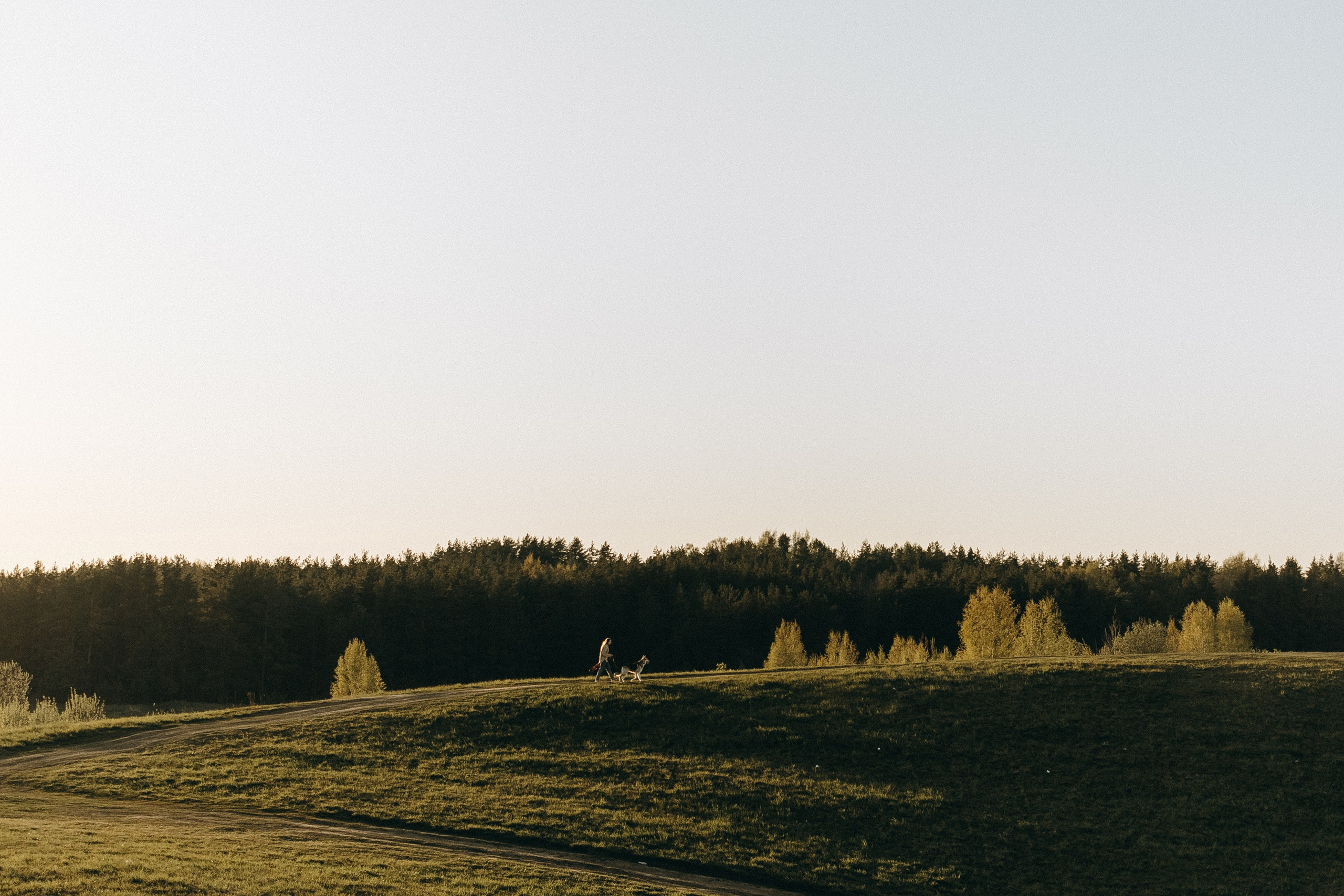 Саша и Зельда. Фотограф — Анималист | Санкт-Петербург