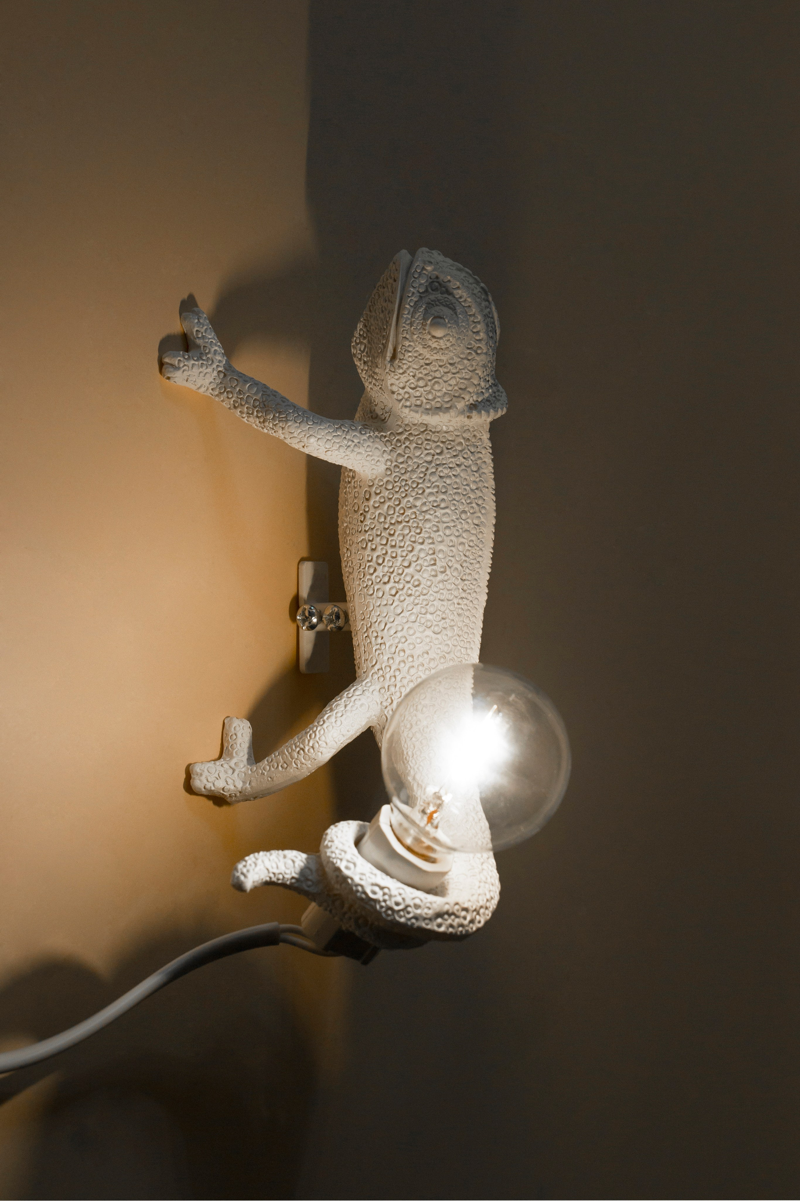 Предметная фотография. Фотограф Злата Спицына