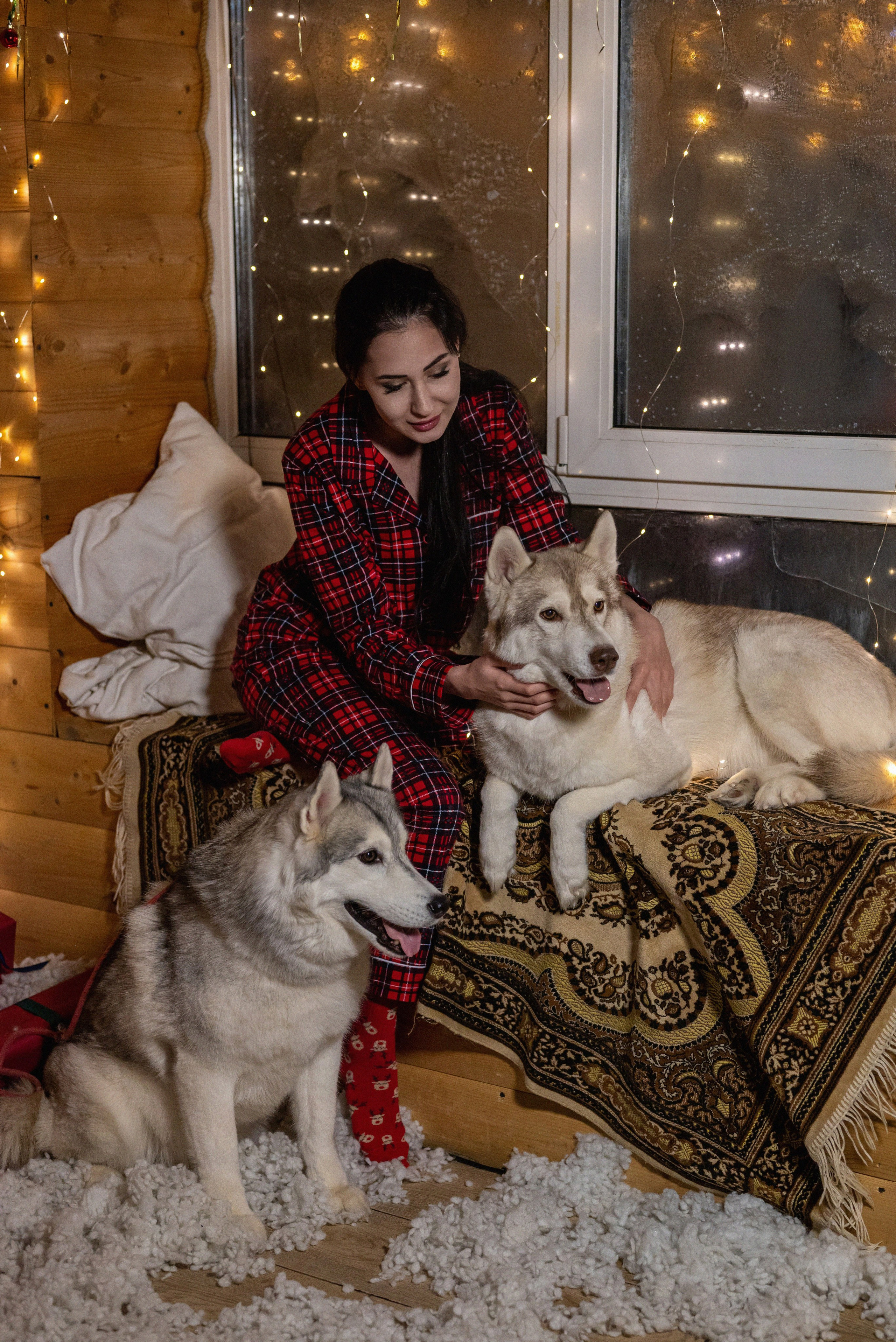 Фотопроект с хаски 2024 г. Фотограф в городе Салават