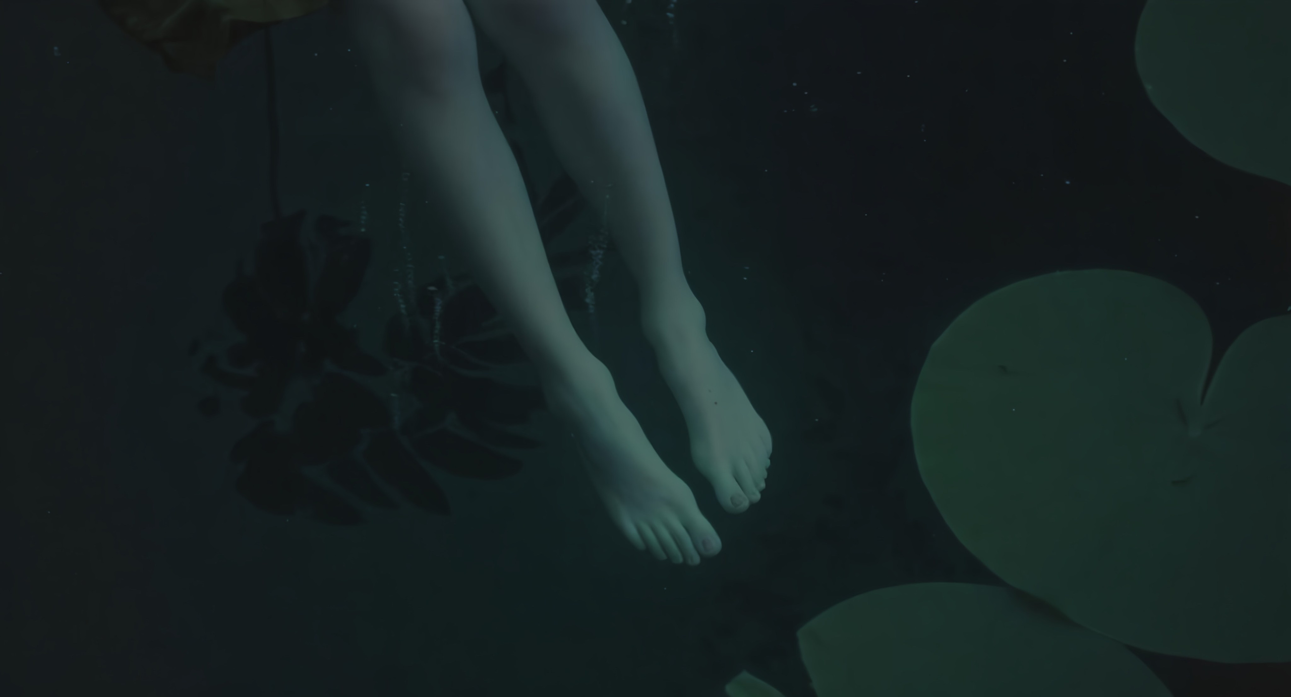 The pond. Elizabeth Marriott