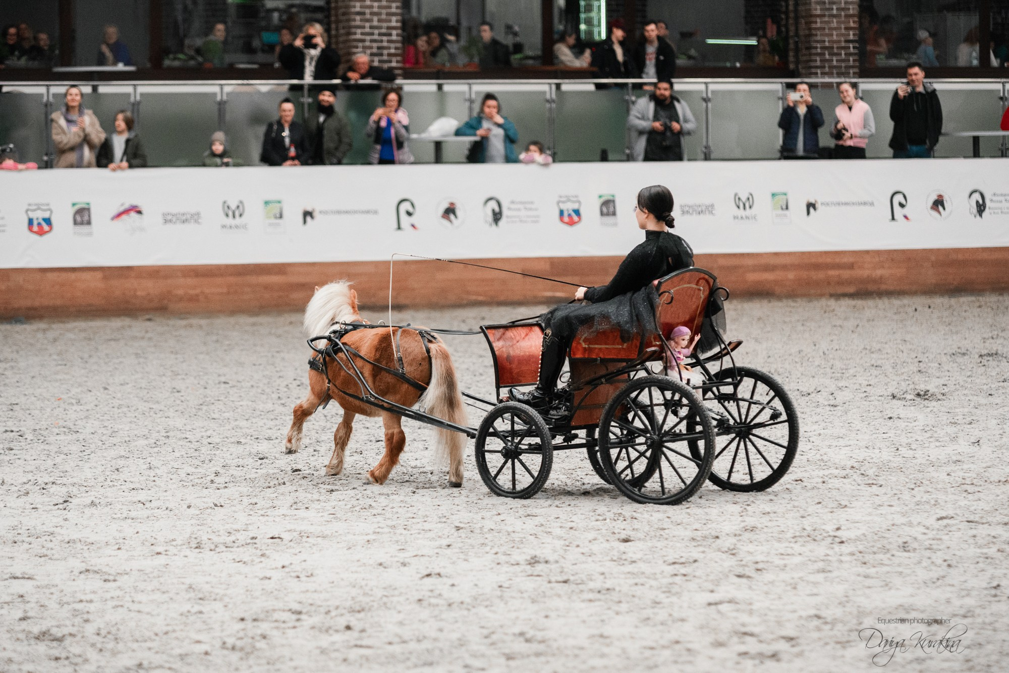 8-я международная выставка Конная Россия. Конный фотограф Куракина Дарья • Фотосессии с лошадьми