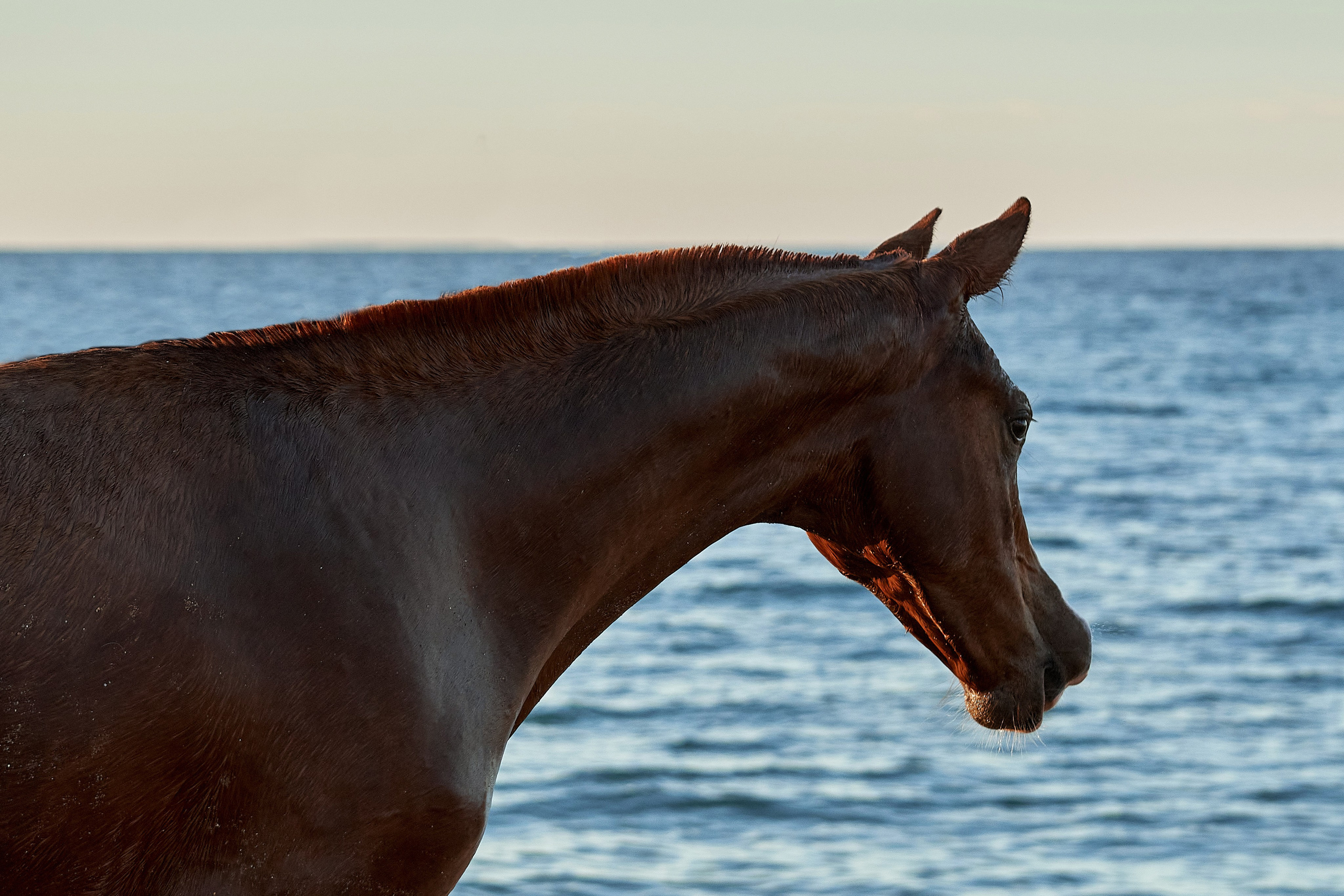 Галактика и Кассиопея. Фотограф в Севастополе