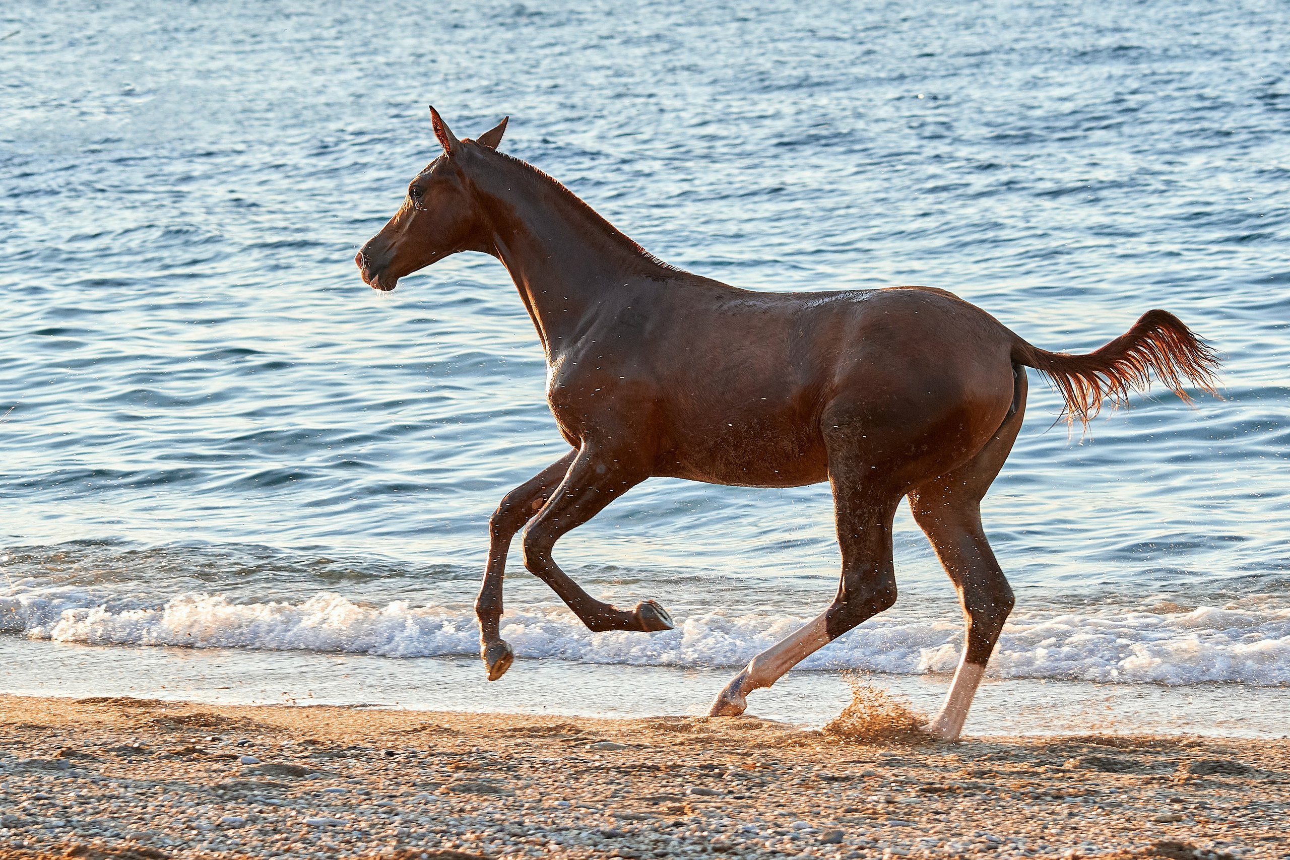 Галактика и Кассиопея. Фотограф в Севастополе