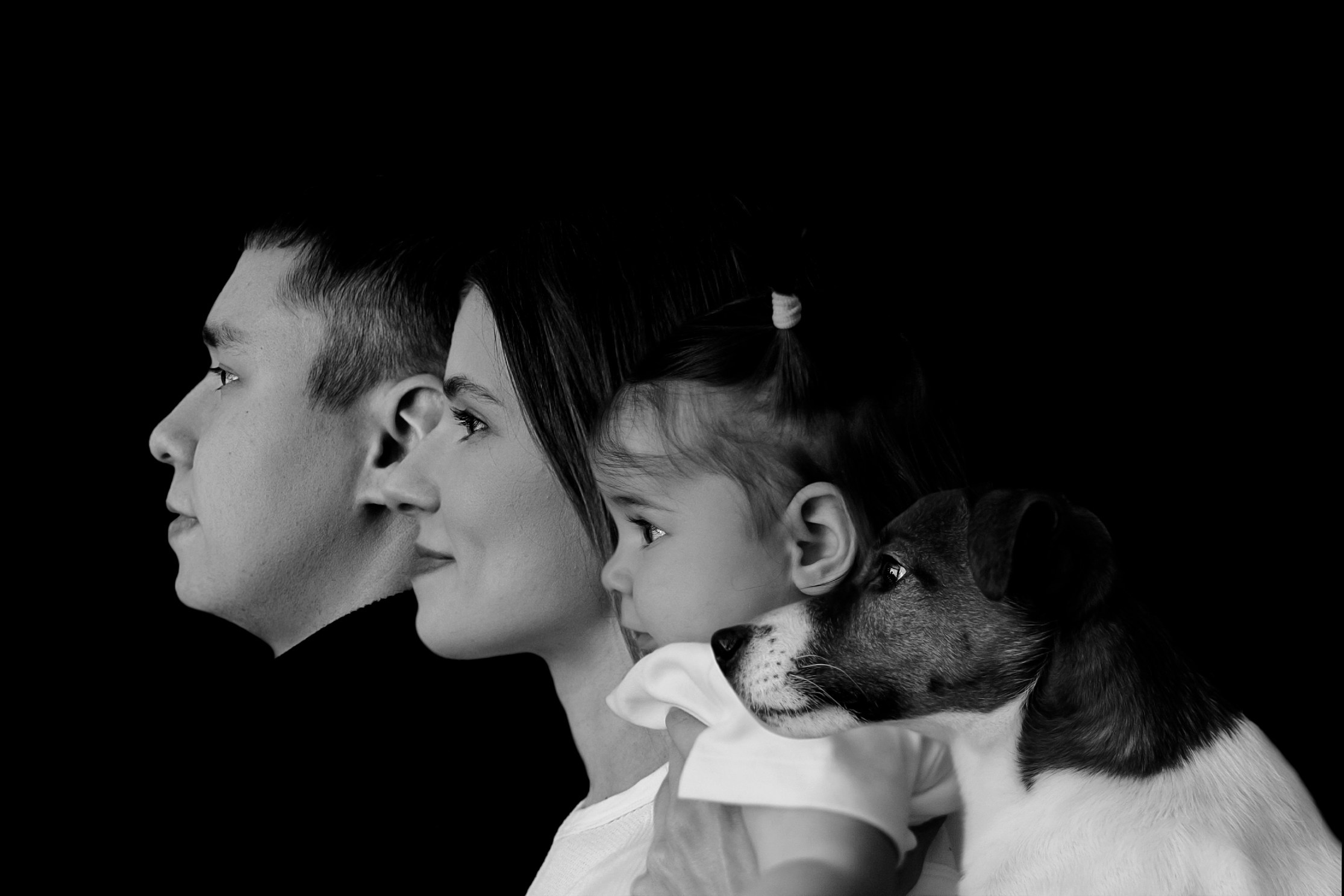 Джой и его семья. Фотограф — Анималист | Санкт-Петербург