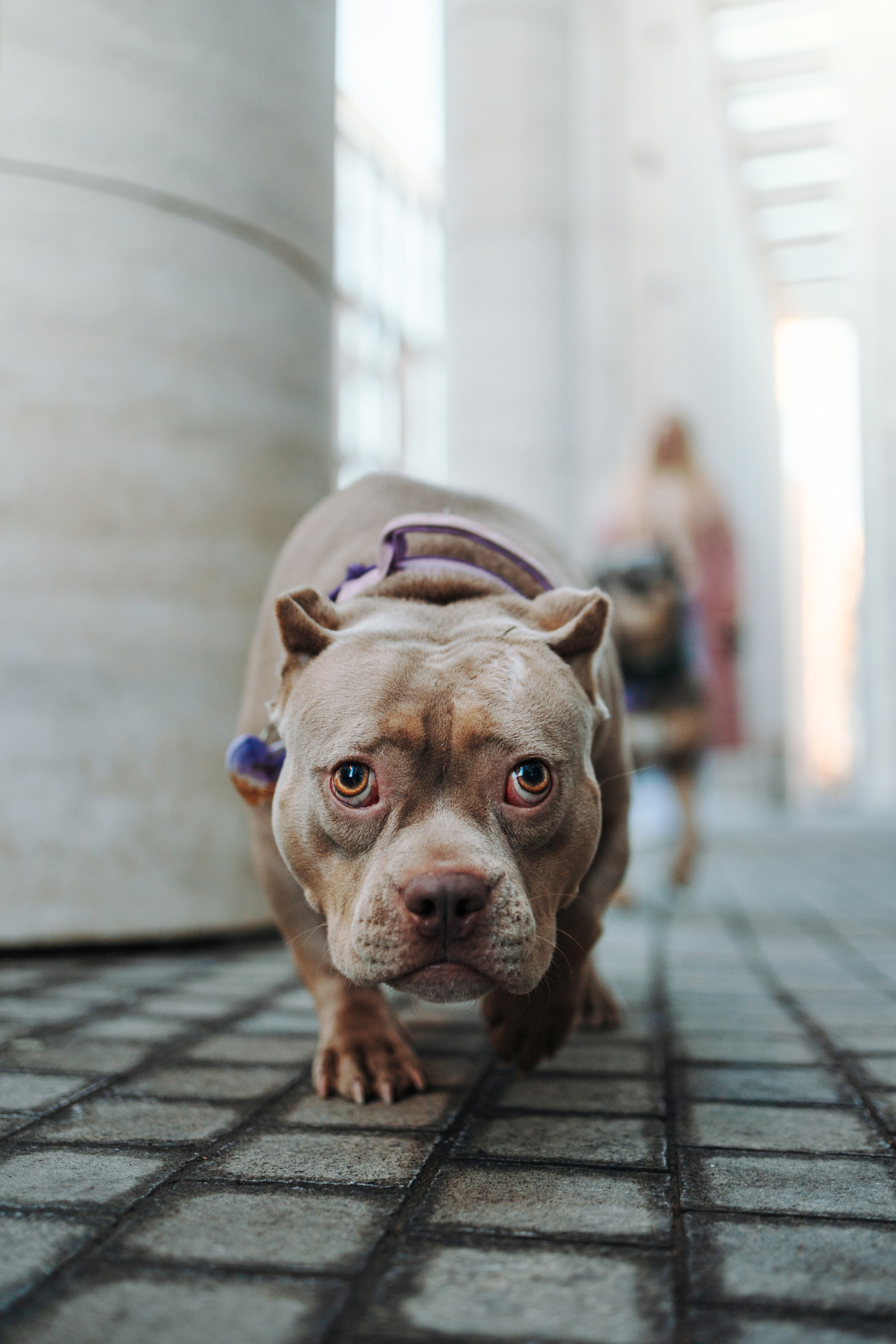 Лера и ее булочки. Фотограф — Анималист | Санкт-Петербург