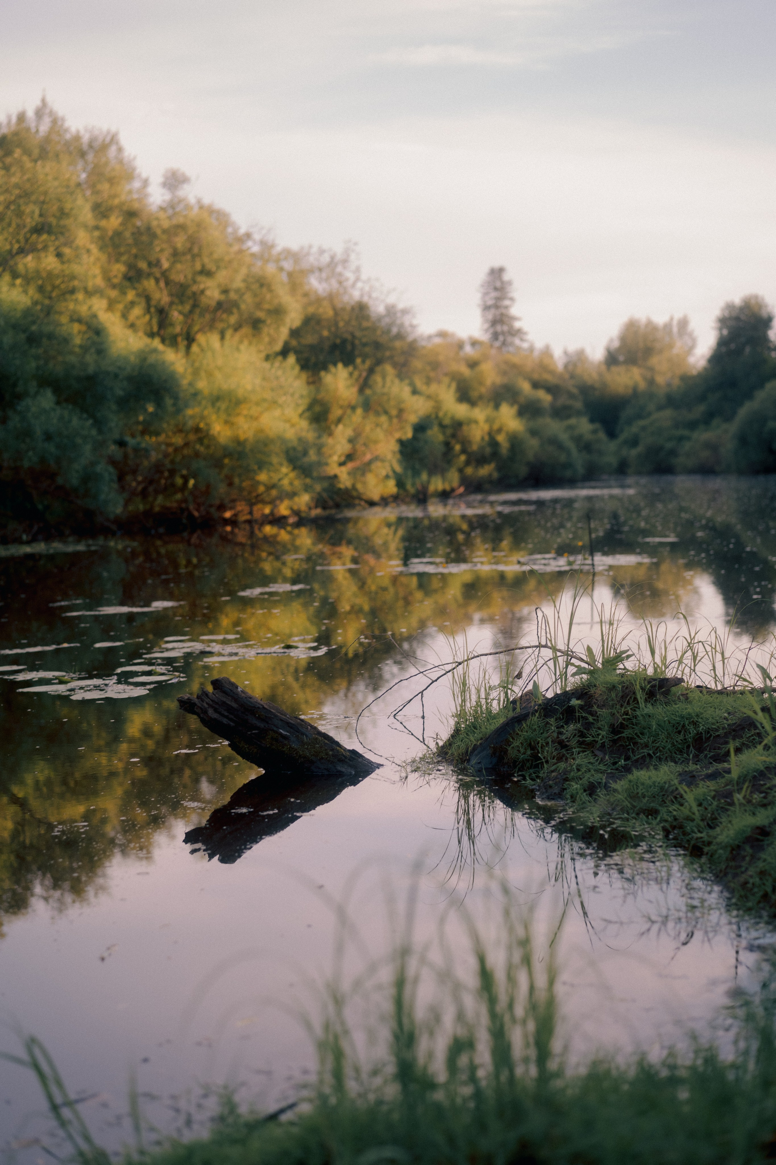 Деревня Петрово (Томская область). Veronika Popadeikina Photographer