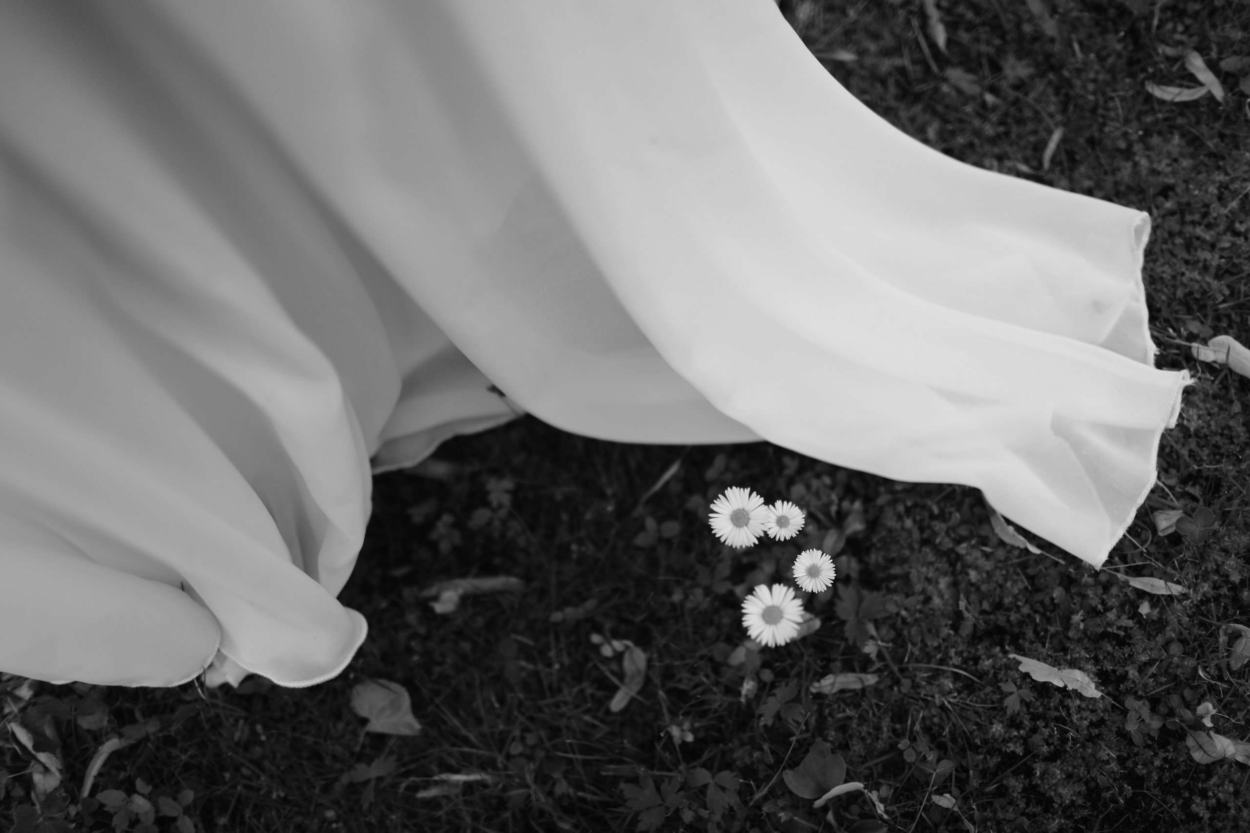 Маргаритки. Свадебный и репортажный фотограф в Ярославле и Санкт-Петербурге Роман Микрюков