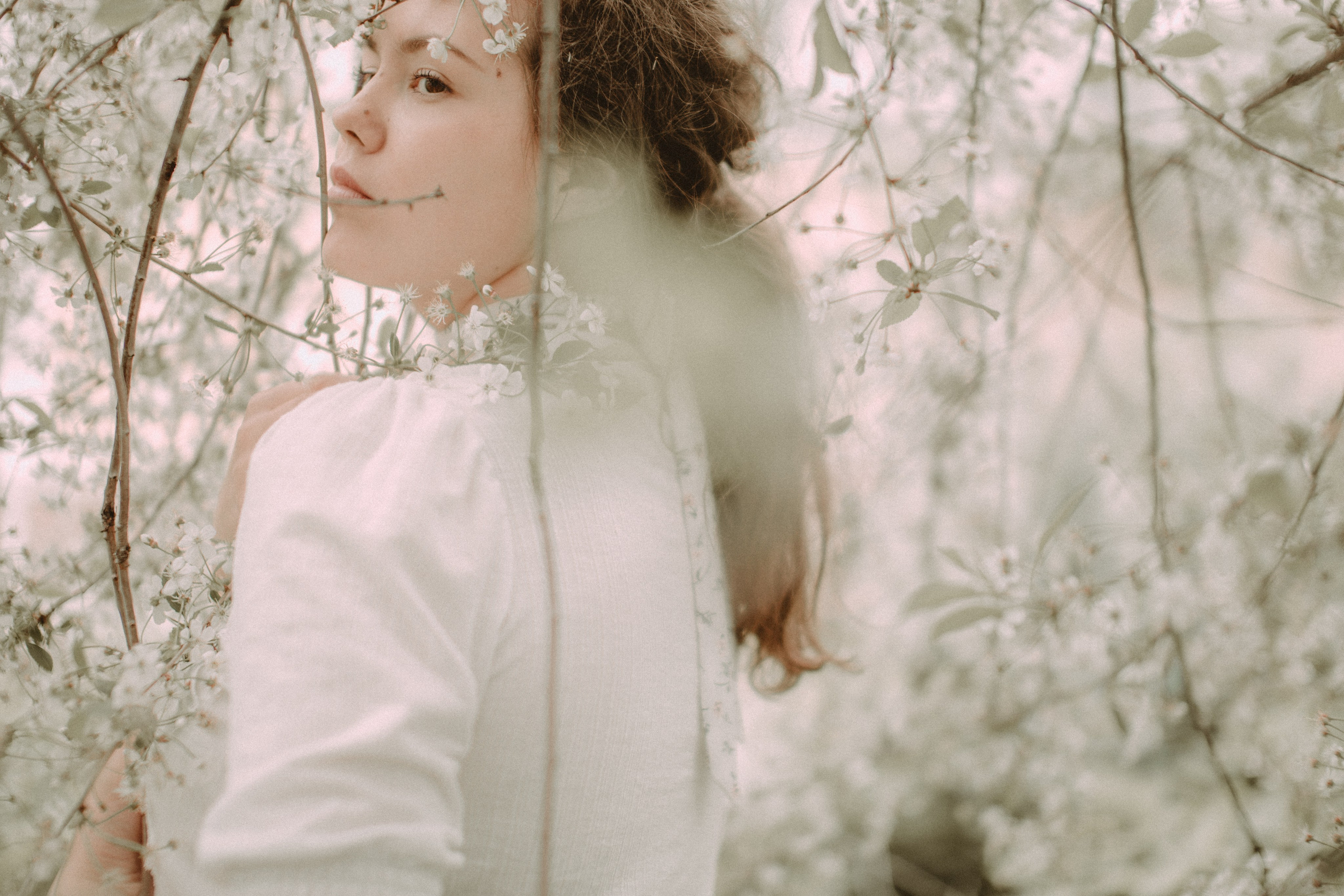 Девушка в цветах вишни. Свадебный и репортажный фотограф в Ярославле и Санкт-Петербурге Роман Микрюков