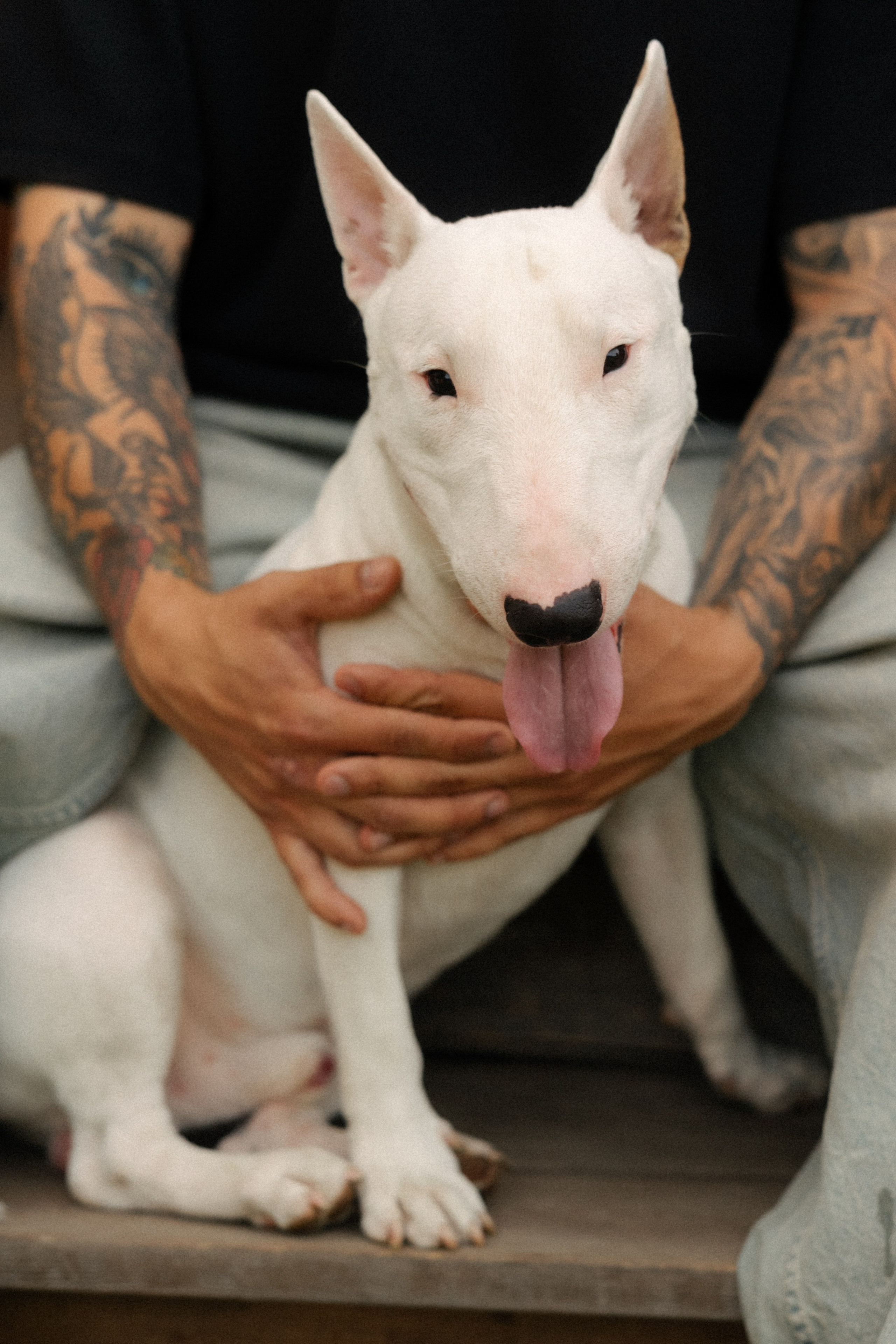 Выходной. Свадебный и семейный фотограф Юлия Сафронова