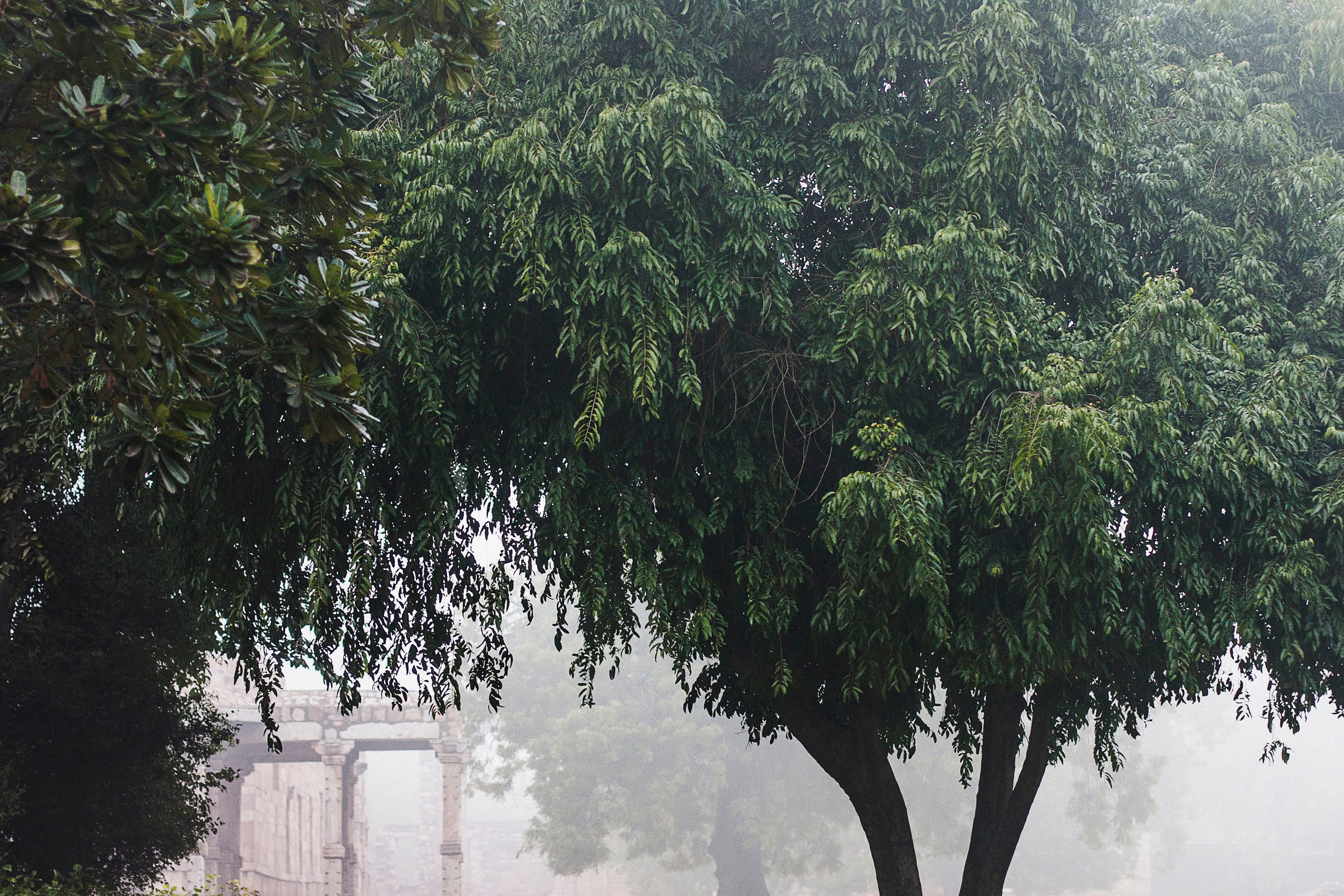 Путешествия. Балетный фотограф в Москве Евгения Сухарева