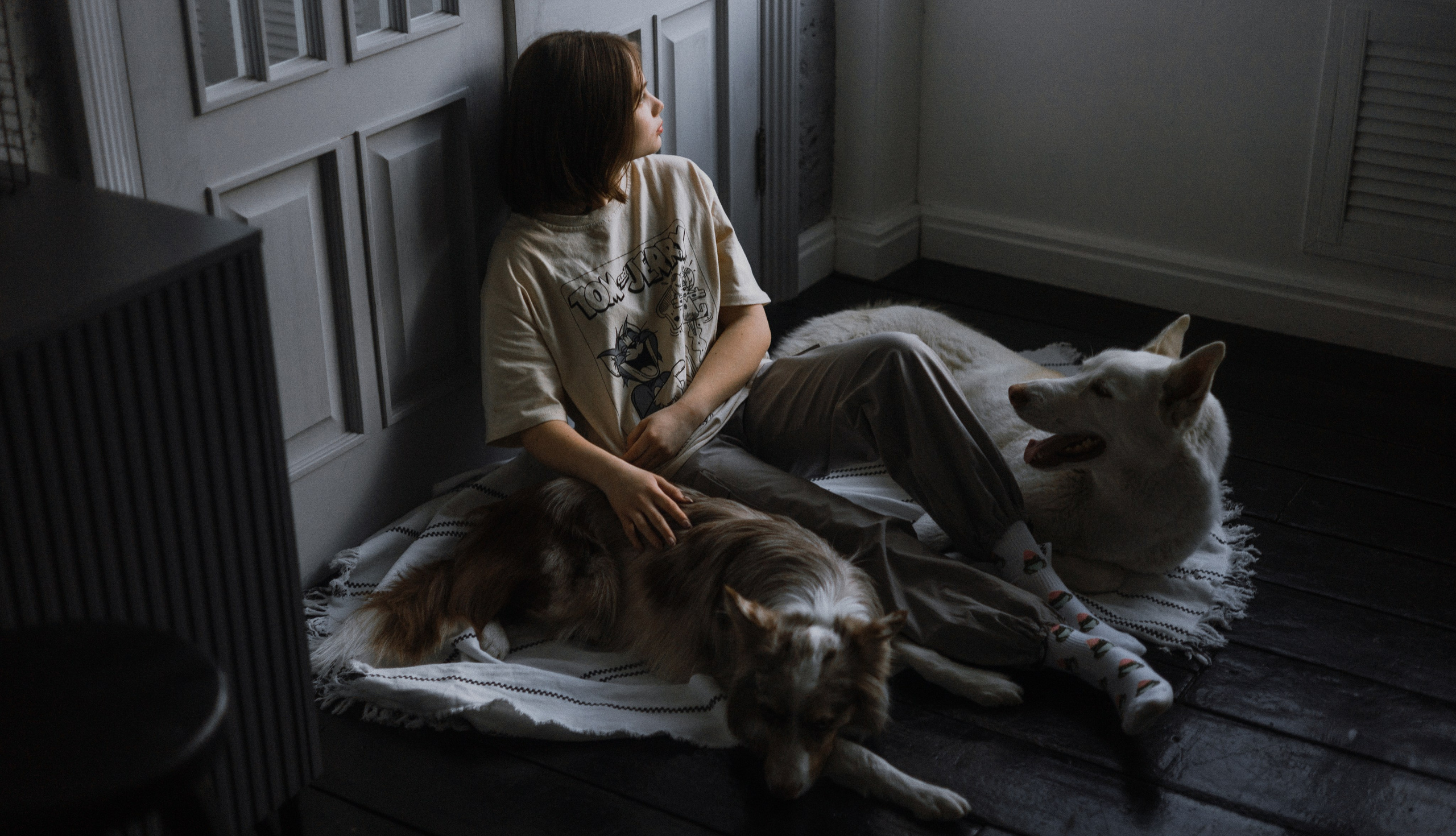 Аня, Дэймон и Грэй. Фотограф-анималист Богданова Полина