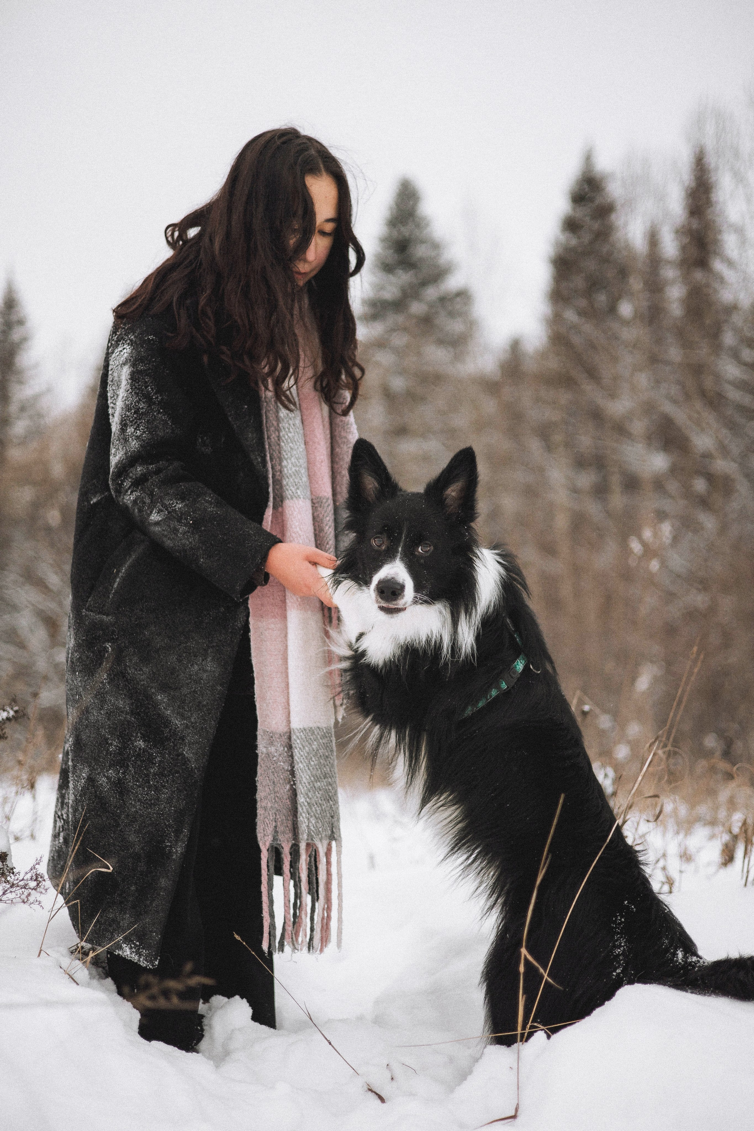 Алина и Найт. Фотограф-анималист Богданова Полина