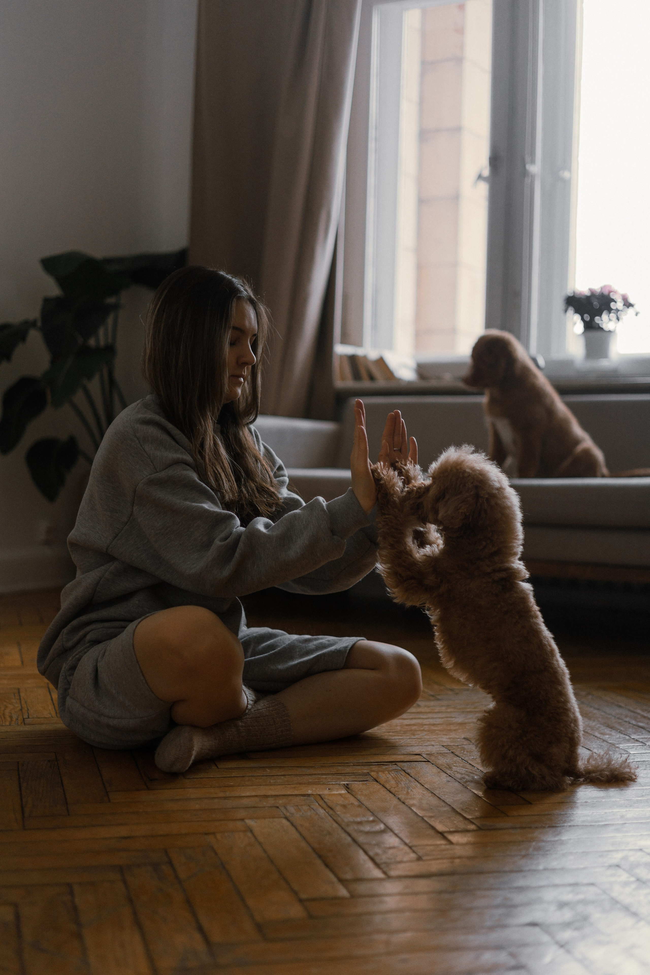Маша, Одди и Нэвил. Фотограф-анималист Богданова Полина