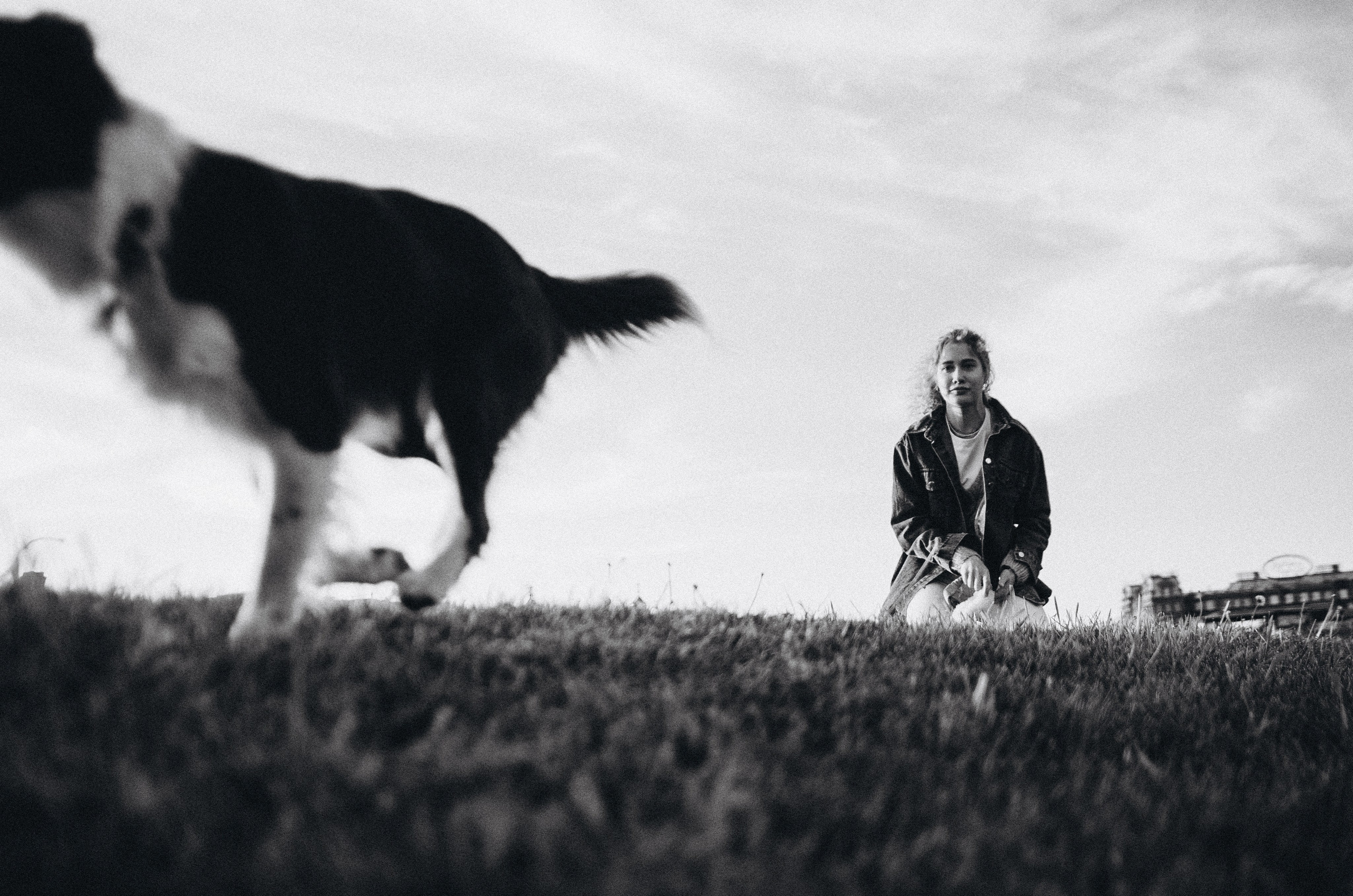 Лиза и Эни. Фотограф-анималист Богданова Полина