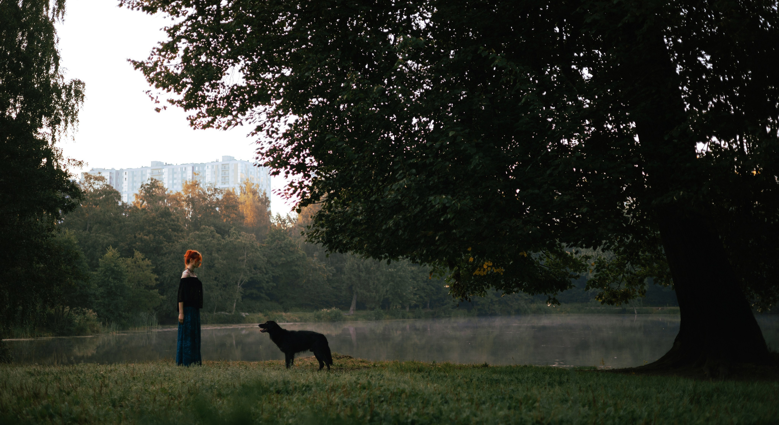 Лиза и Коди. Фотограф-анималист Богданова Полина