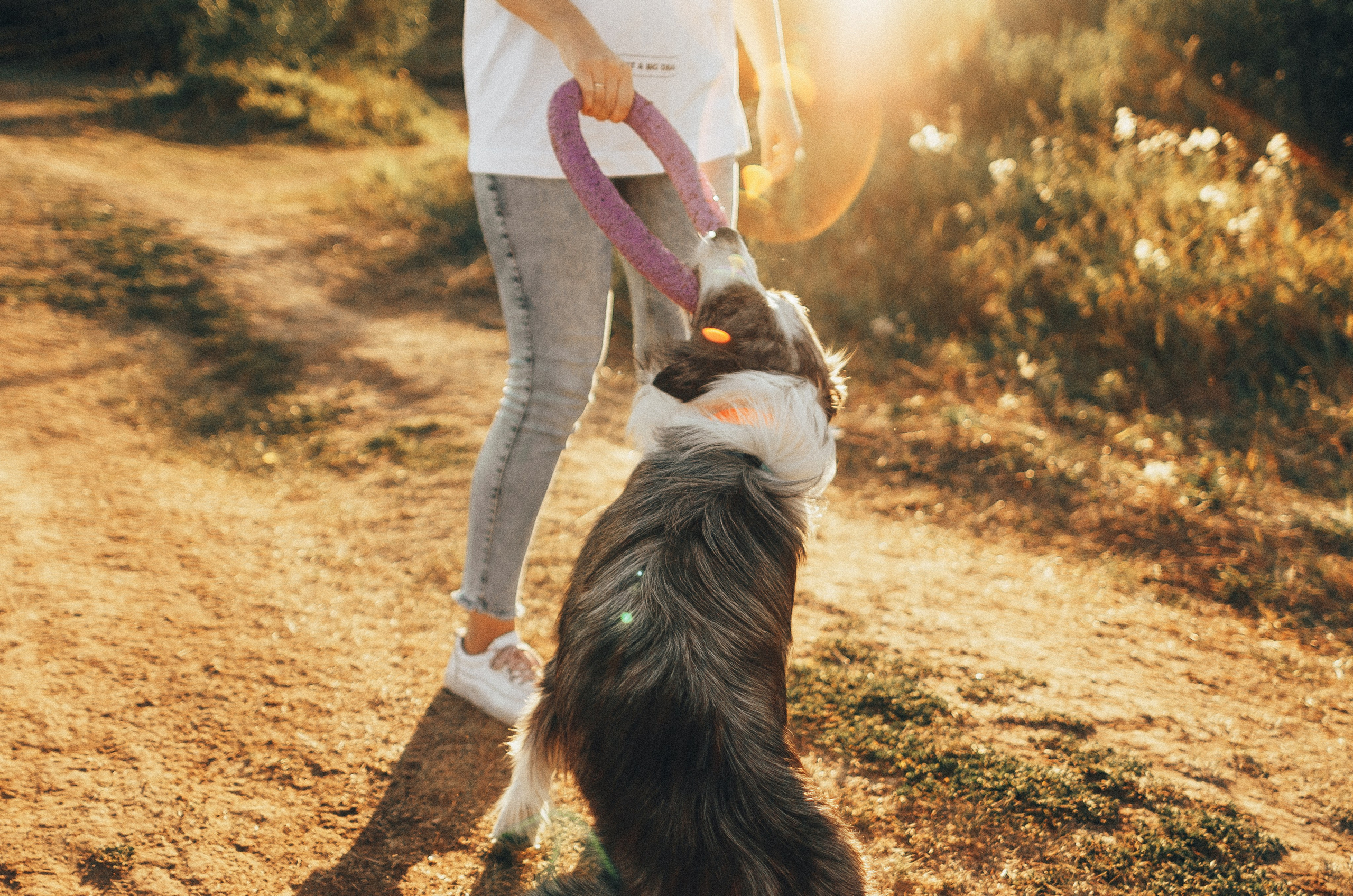 Таня и Бриллиант. Фотограф-анималист Богданова Полина