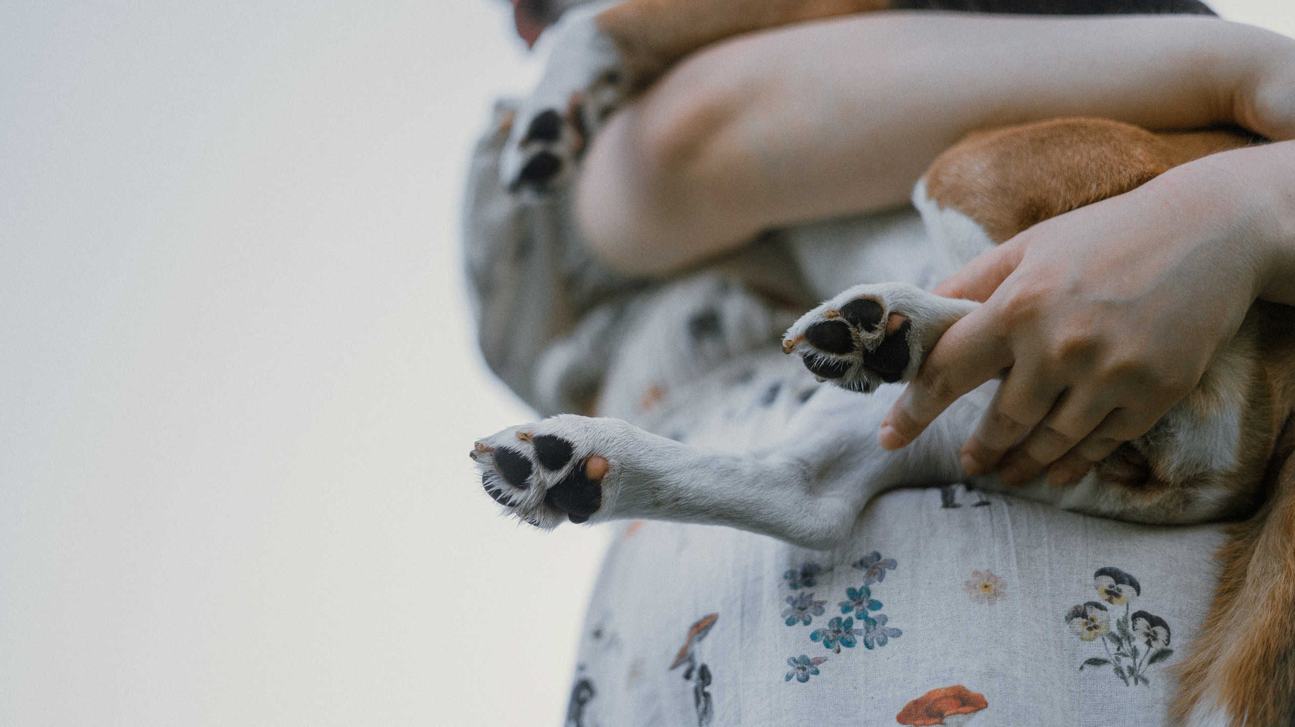 Лиза и Сара. Фотограф-анималист Богданова Полина