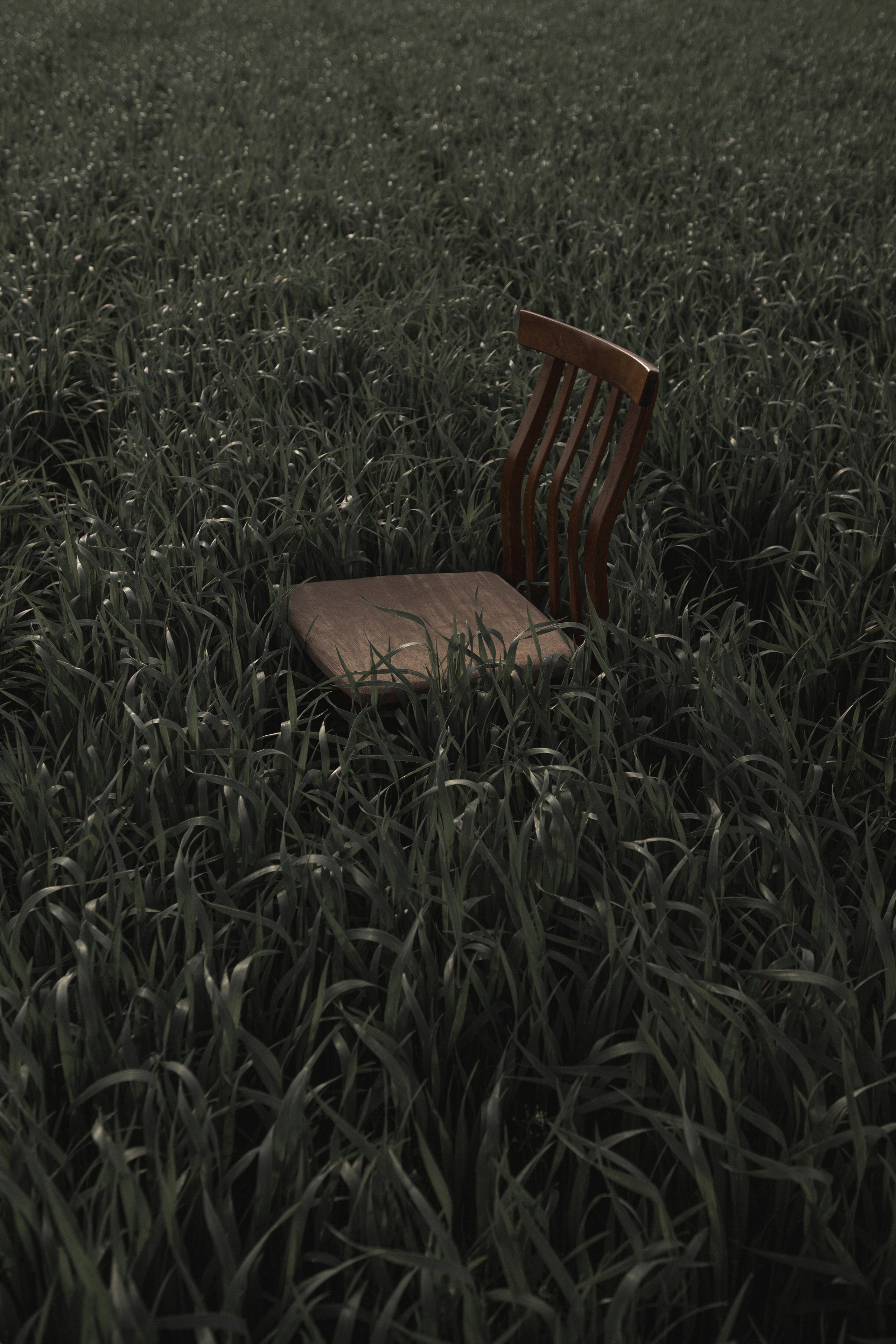 Single works. Art photographer Romanda Che