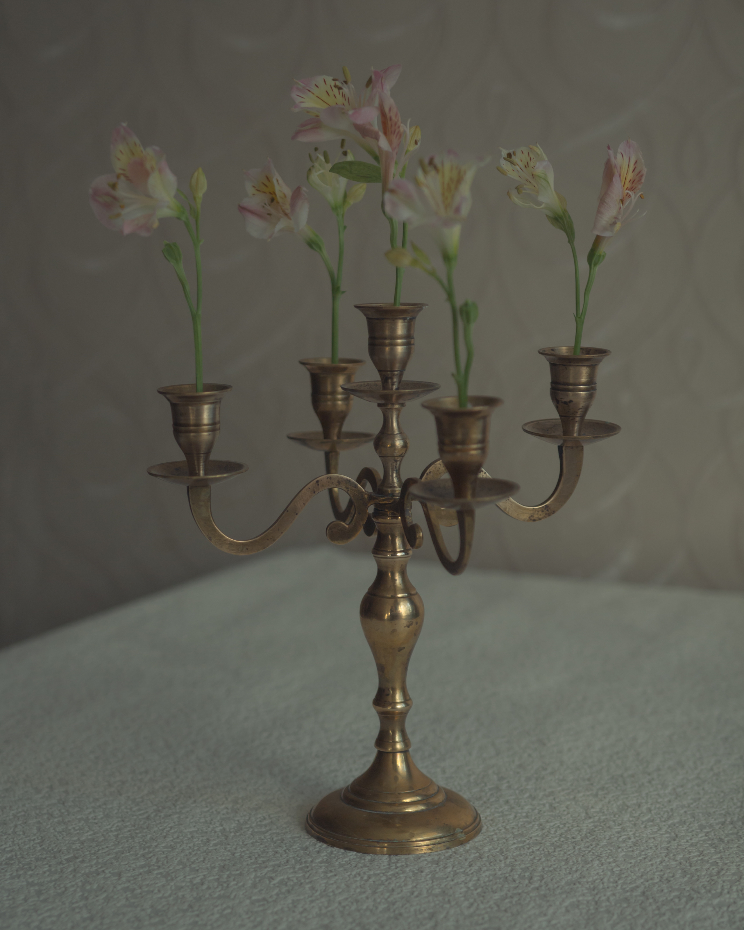 Single works. Art photographer Romanda Che