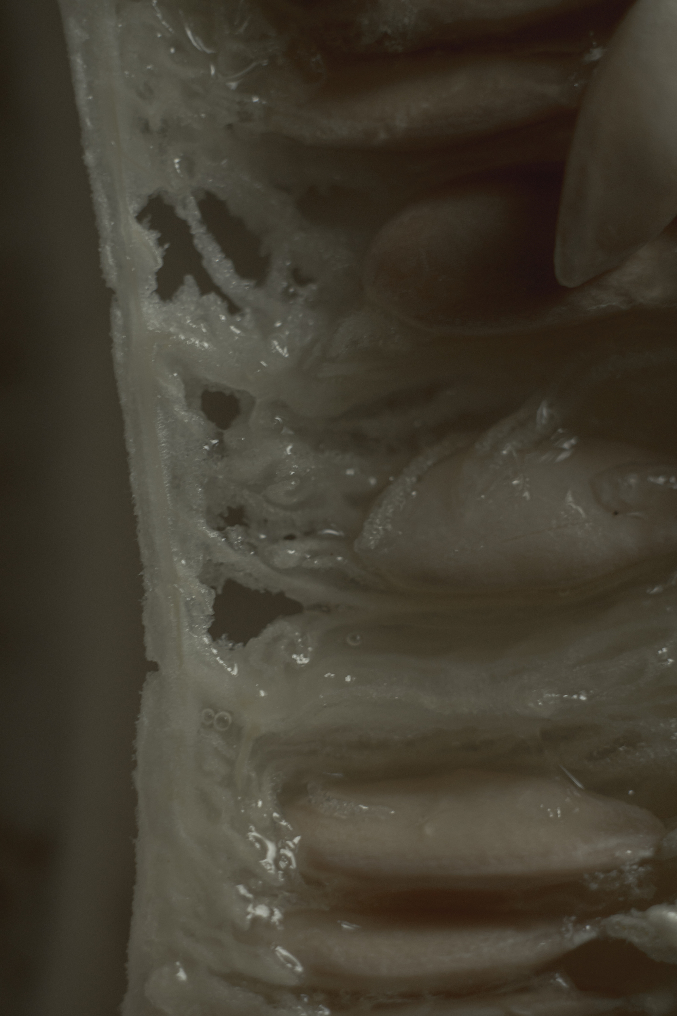 Триптих — приближение. Арт-фотограф Романда Ч Нижний Новгород