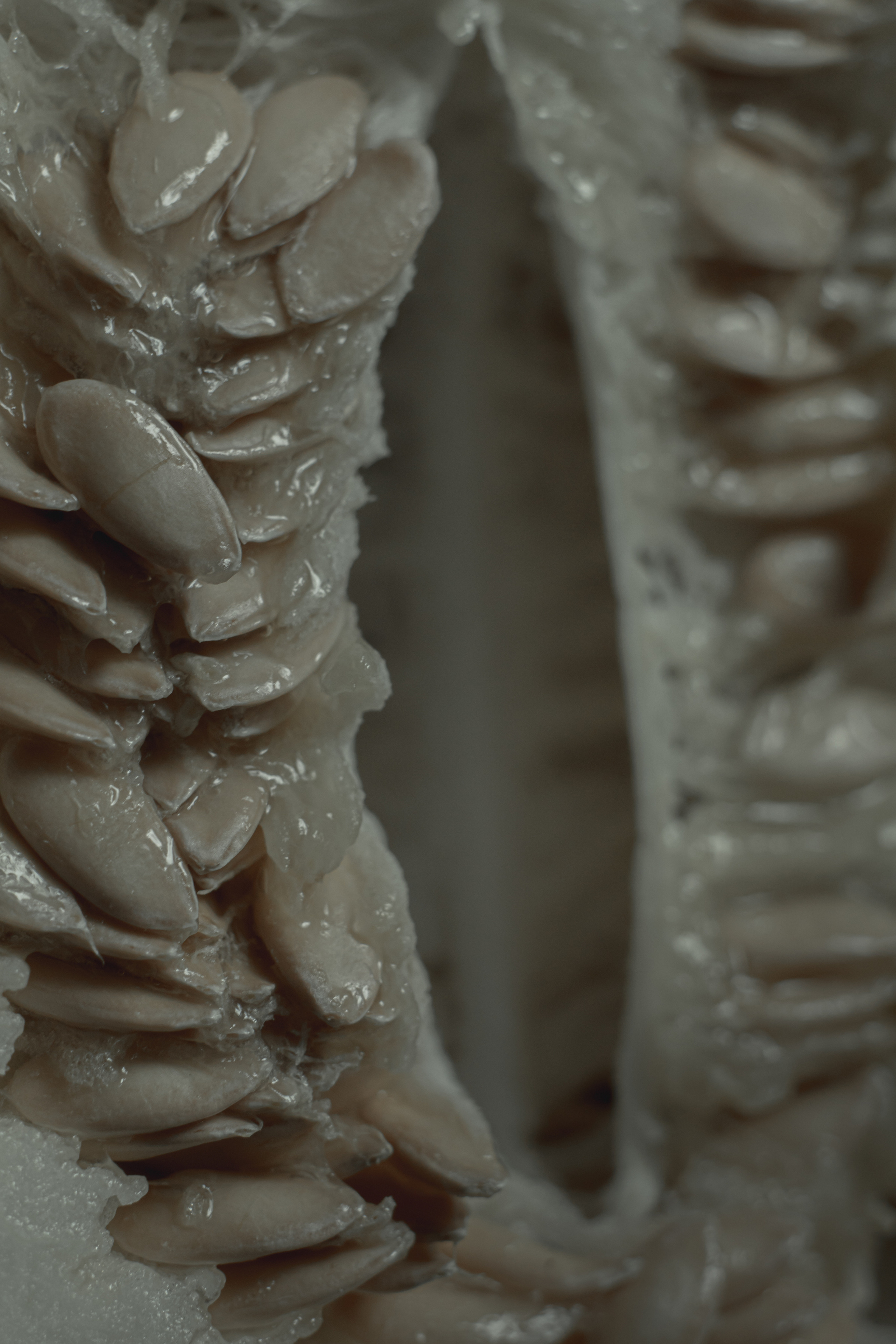 Триптих — приближение. Арт-фотограф Романда Ч Нижний Новгород