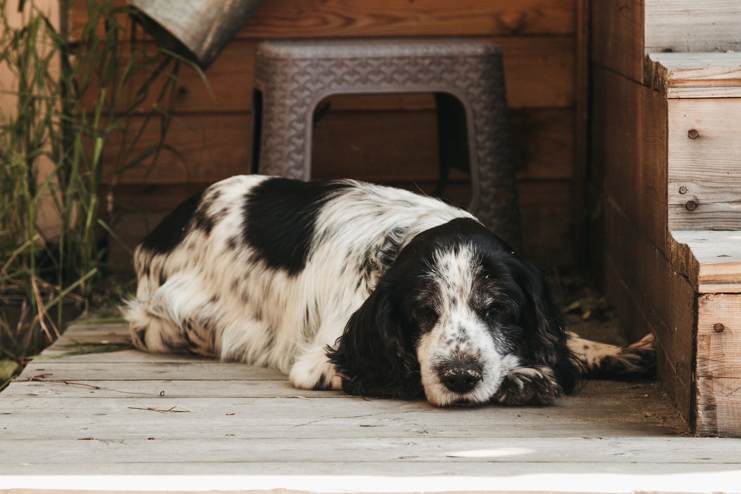 10.07.2024. Свадебный и семейный фотограф в Нижневартовске Татьяна Мартынова