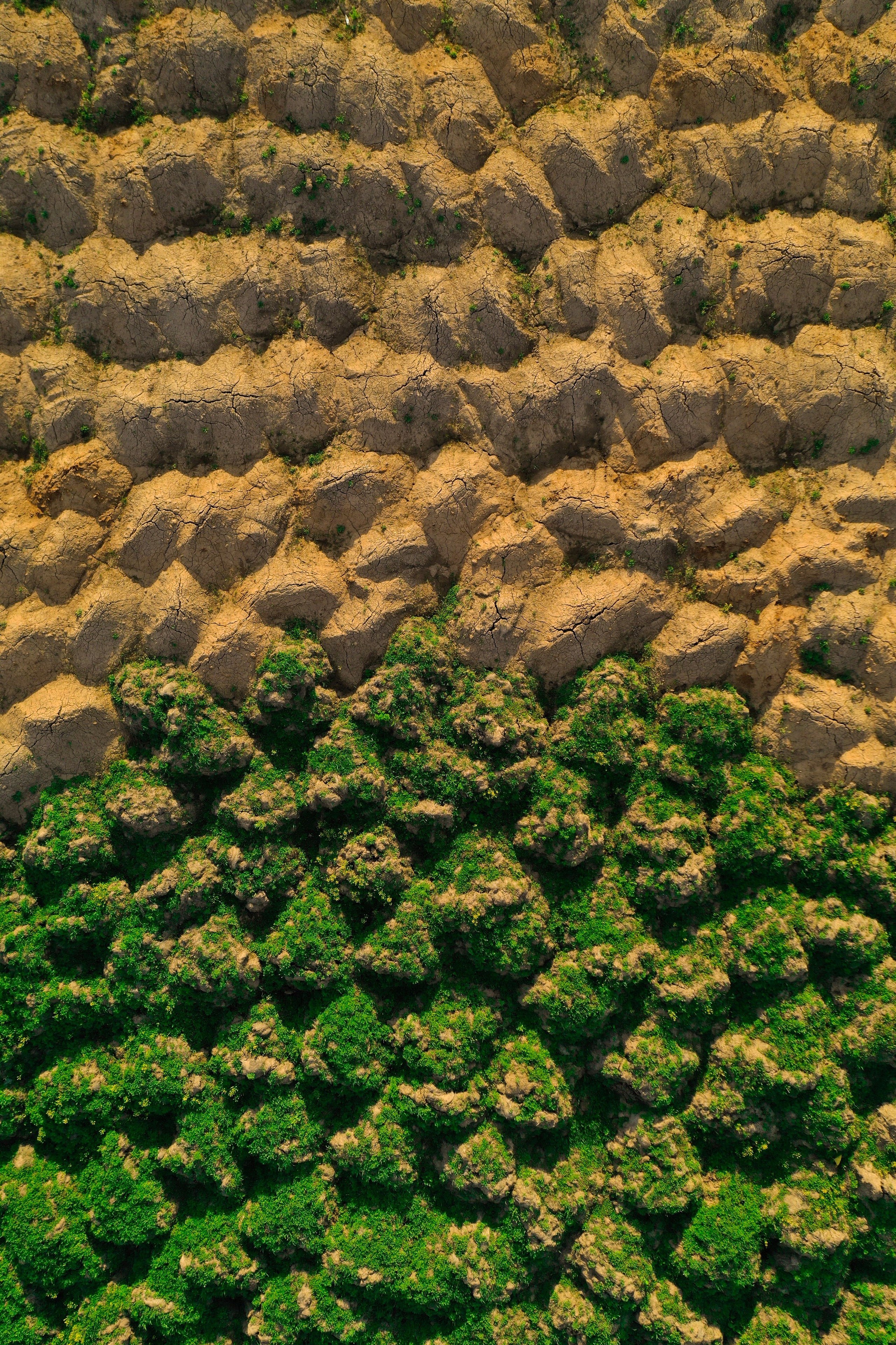 ЦВЕТНЫЕ ФОТОГРАФИИ. Никита Аничкин фото и видео оператор из России