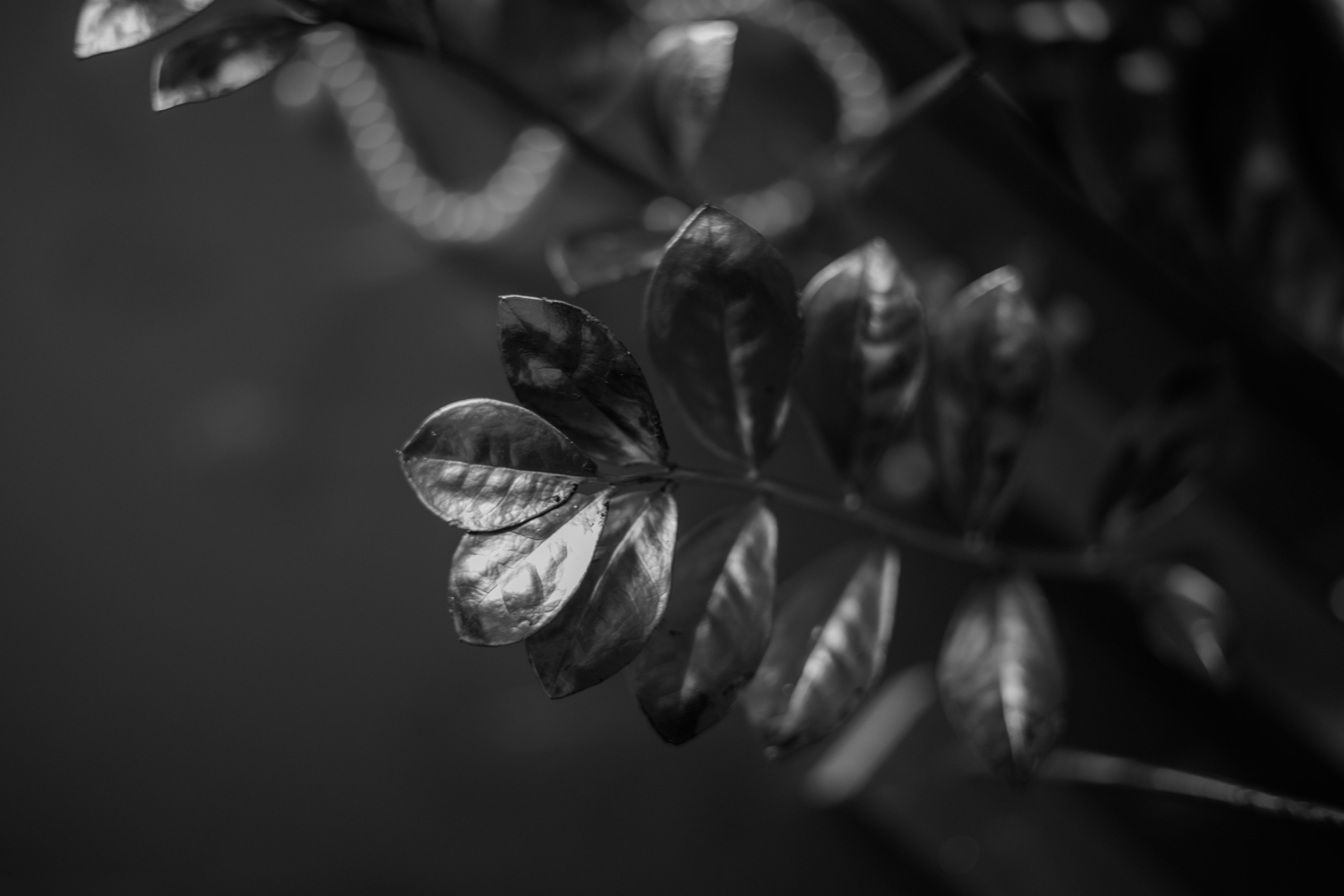 Валерия & Алексей. Оформление свадеб, декор свадеб Вера Маркова, Москва