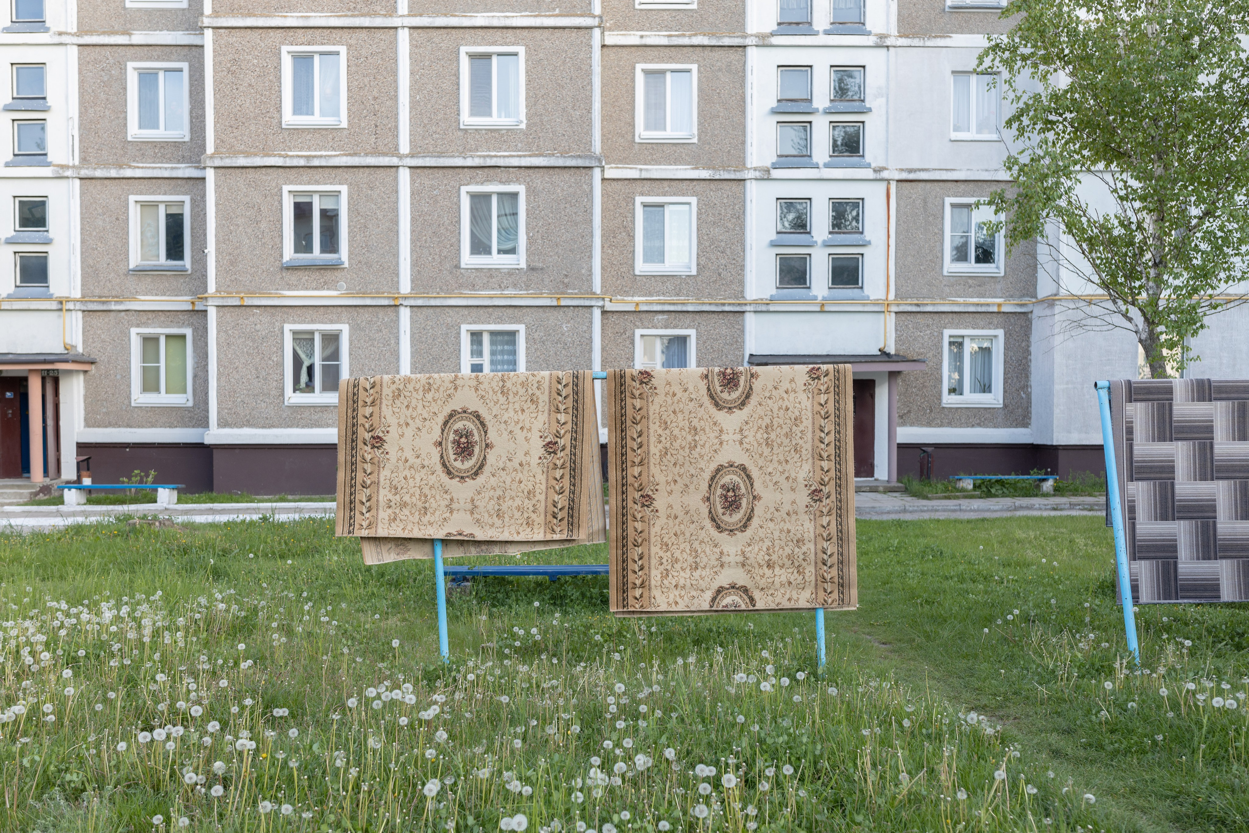 Около меня. Documentary photographer Anton Zdanovich