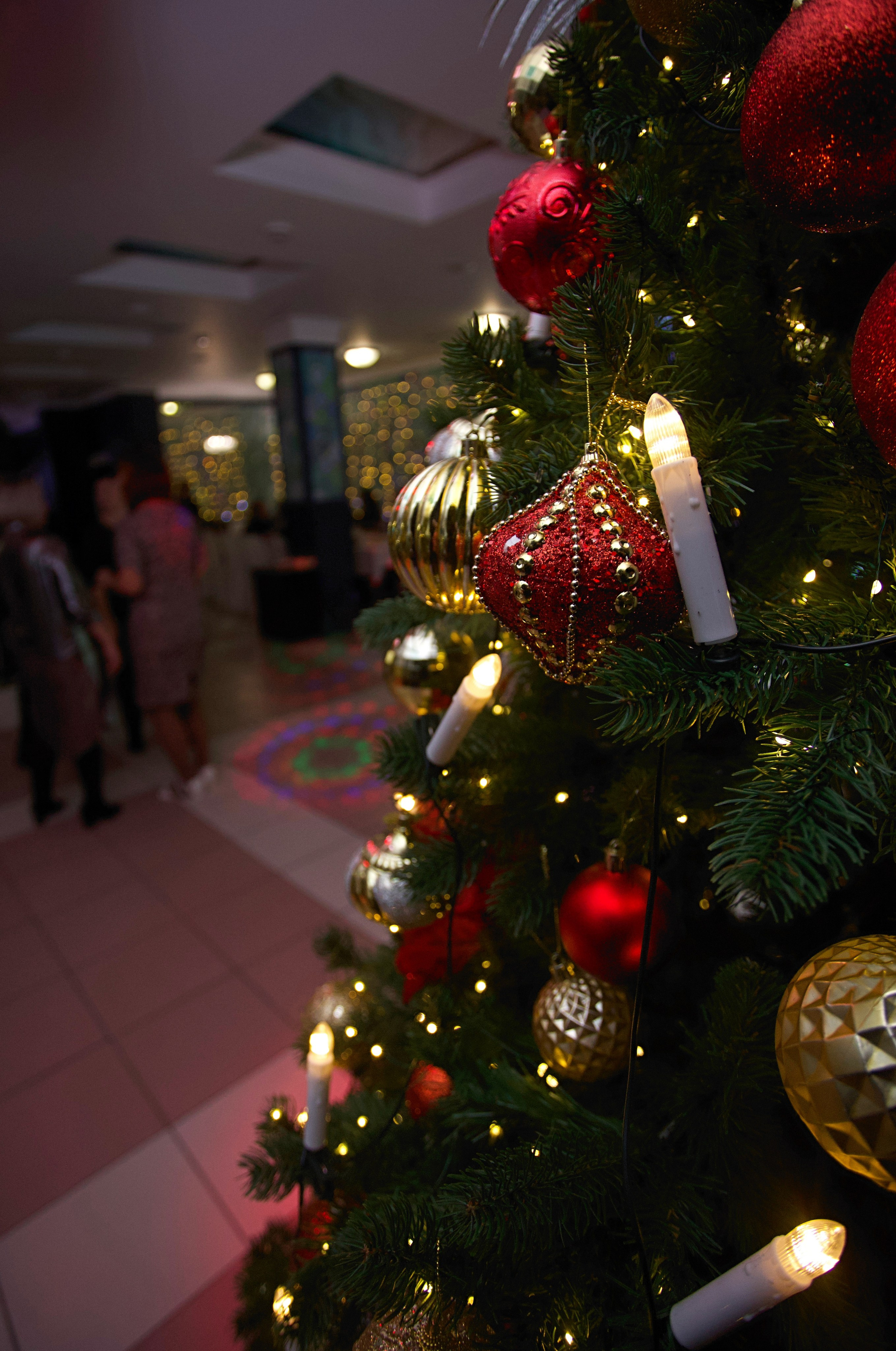 ПРИЧАЛ 29.12.23. Репортажный фотограф Анапа