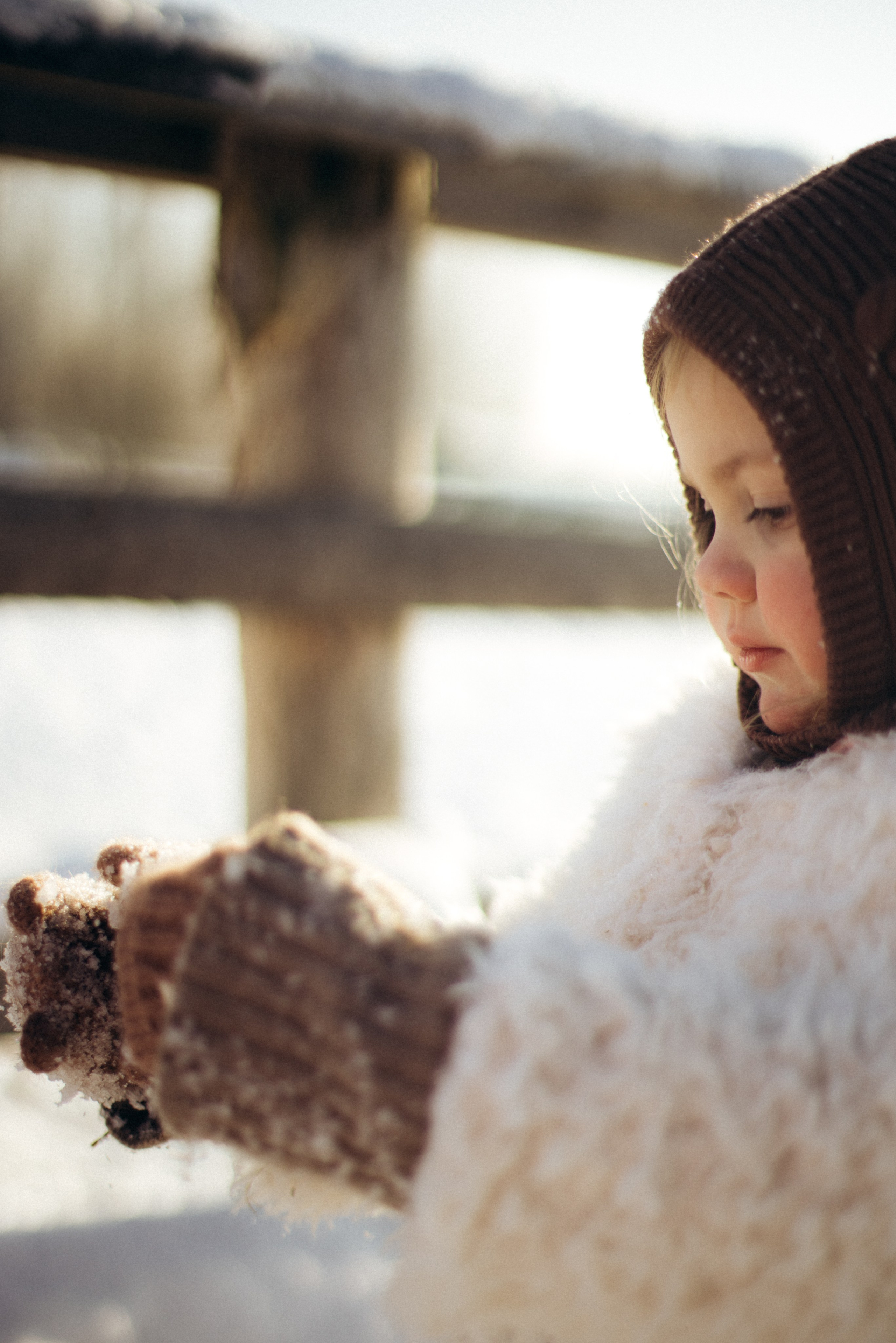 Настя с Сашей и Полей на ферме. Klerout Photographer