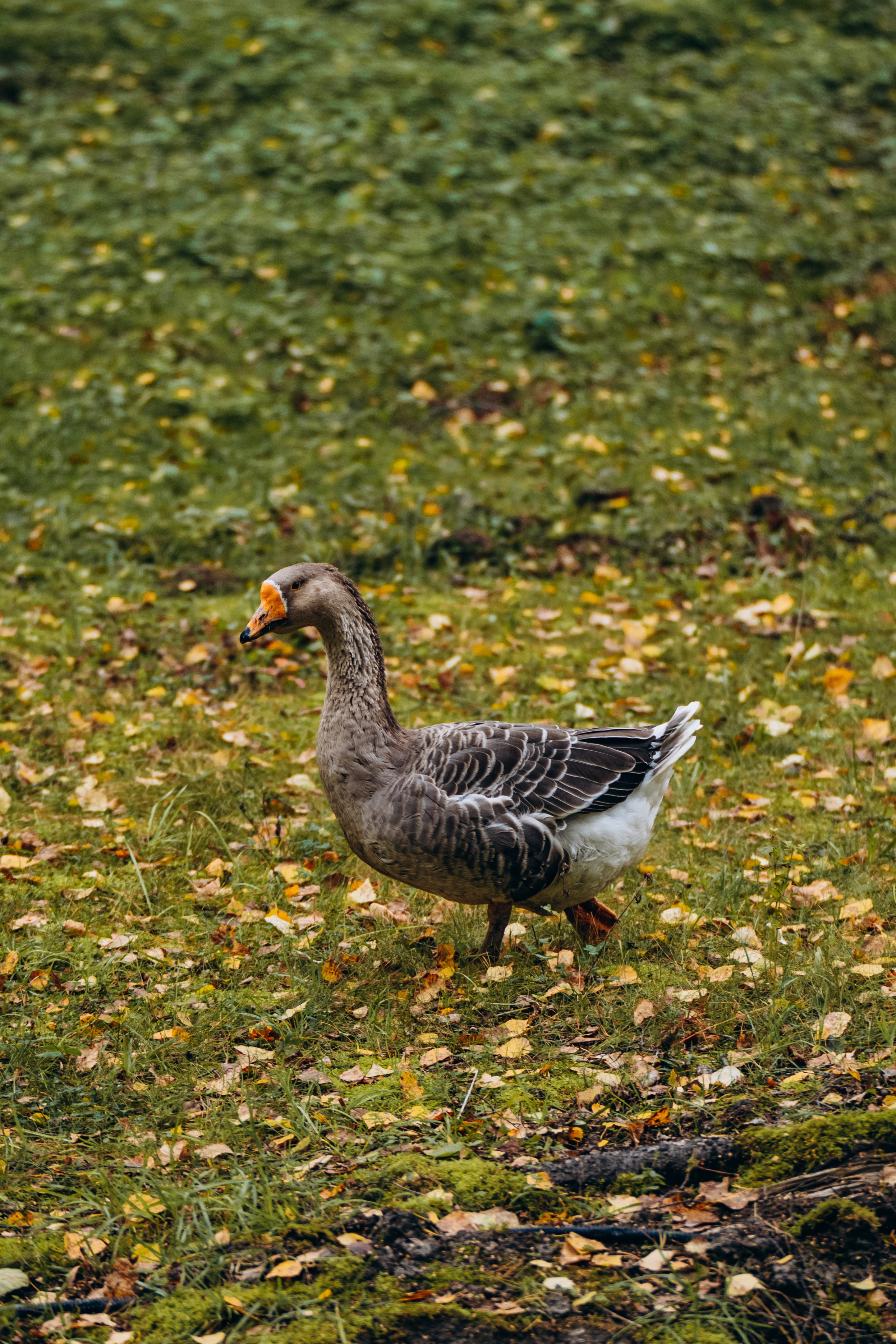 СЕВЕР. Event фотограф Степанова Александра