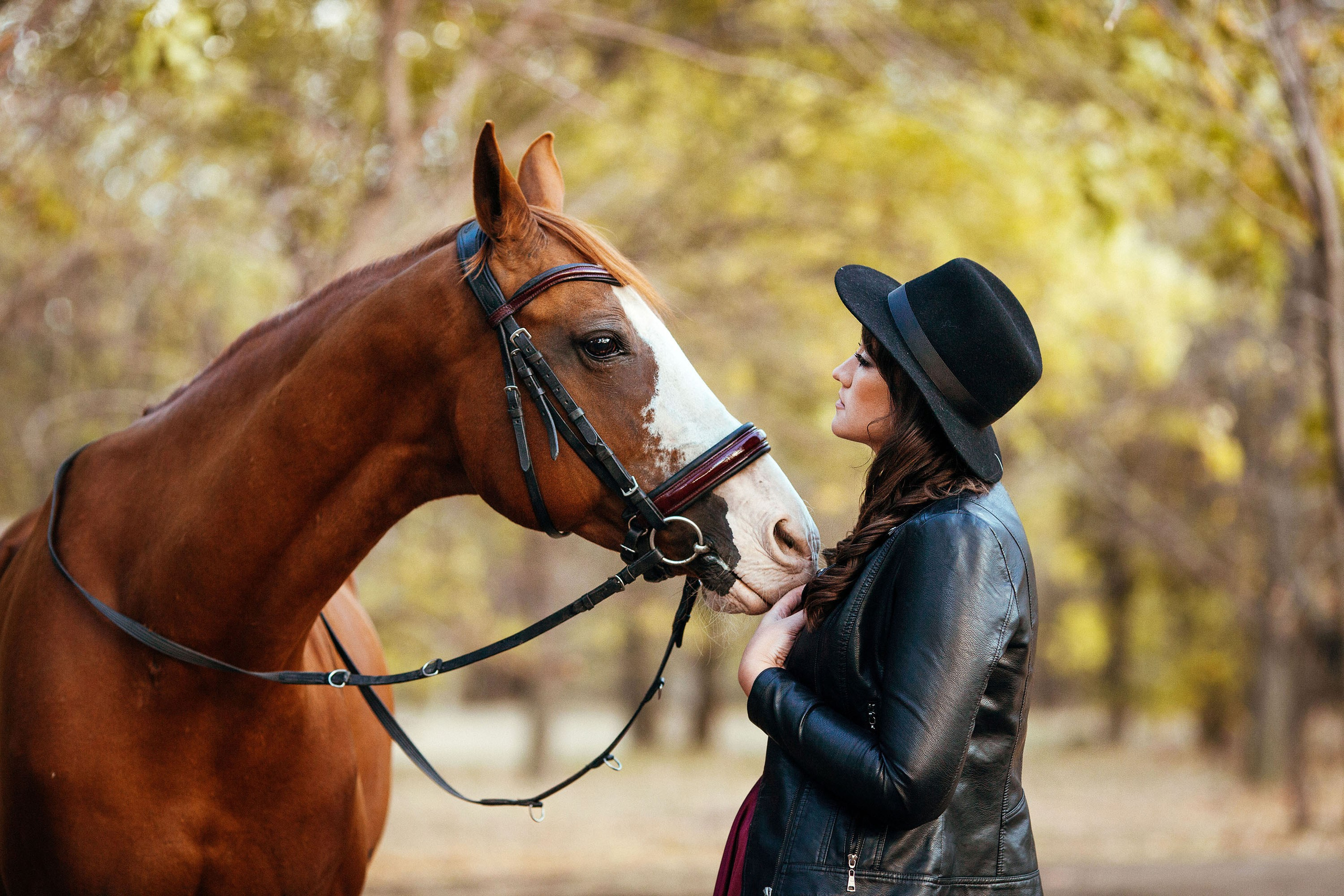 Отзывы. Конный фотограф в Челябинске Стромова Ольга