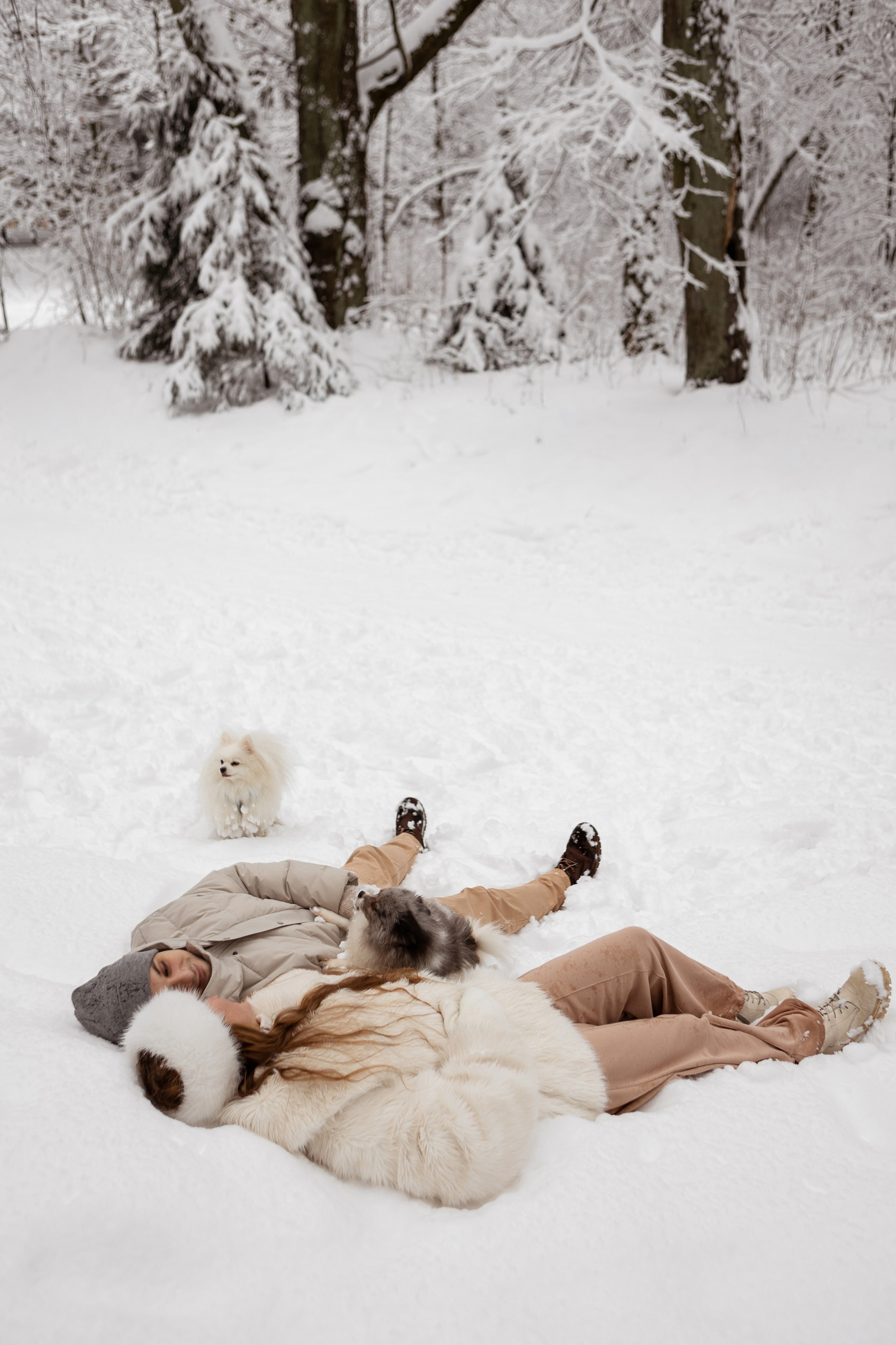 Новогодняя фотосессия с собачками в шуваловском парке. Свадебный фотограф в СПБ | Санкт-Петербурге Анастасия Рахимгулова