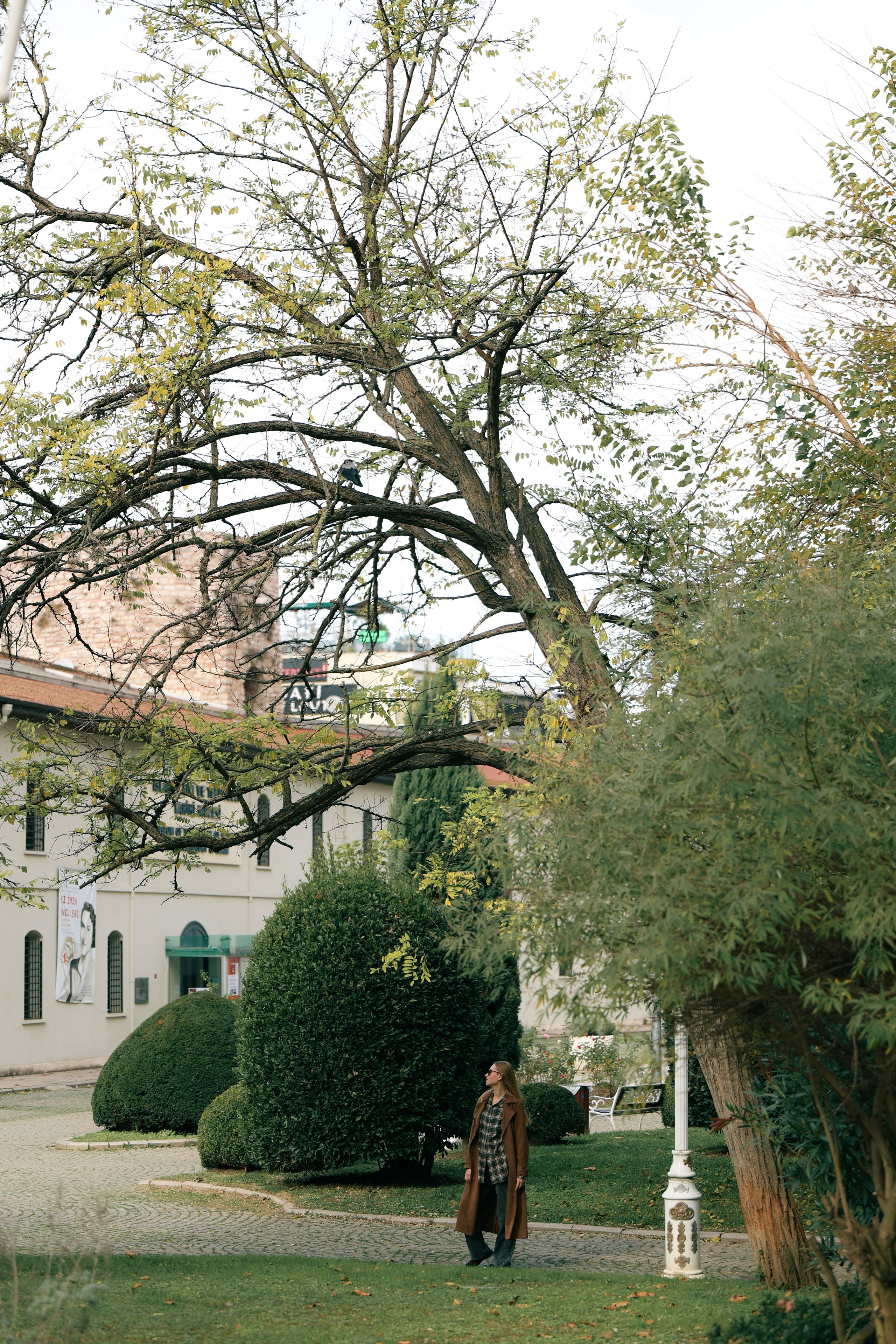 Анюта. Фотограф НатаФото (Наталья Яковенко) Дмитров Москва Питер