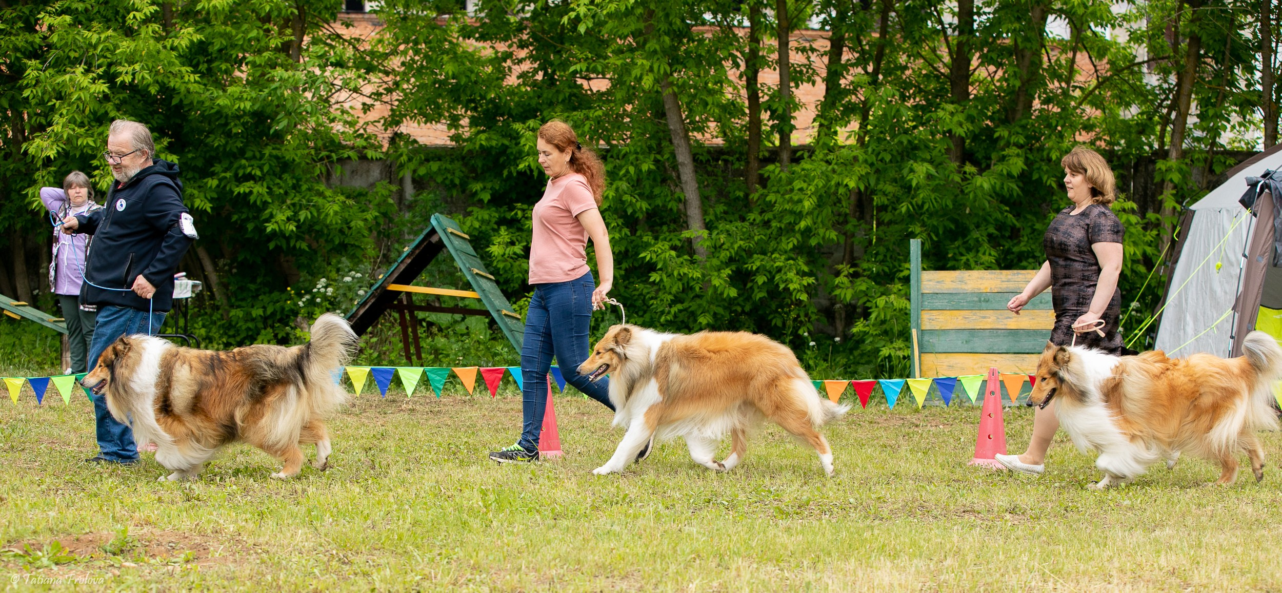 Фотосопровождение выставки собак в Московской области и Москве. Фотограф-анималист в Москве и Московской области Татьяна Фролова