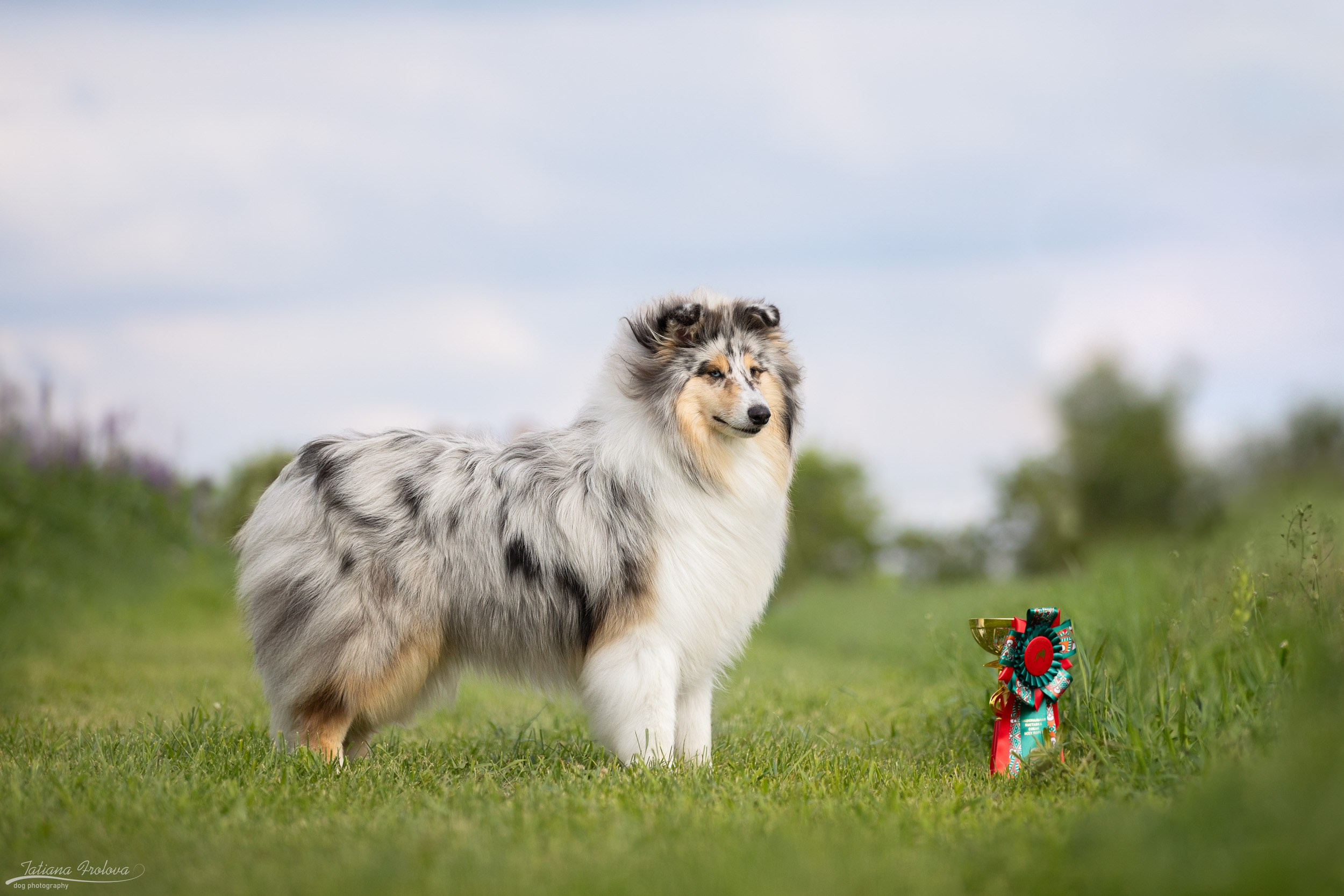 Репортаж с выставки Россия. Фотограф-анималист в Москве и Московской области Татьяна Фролова