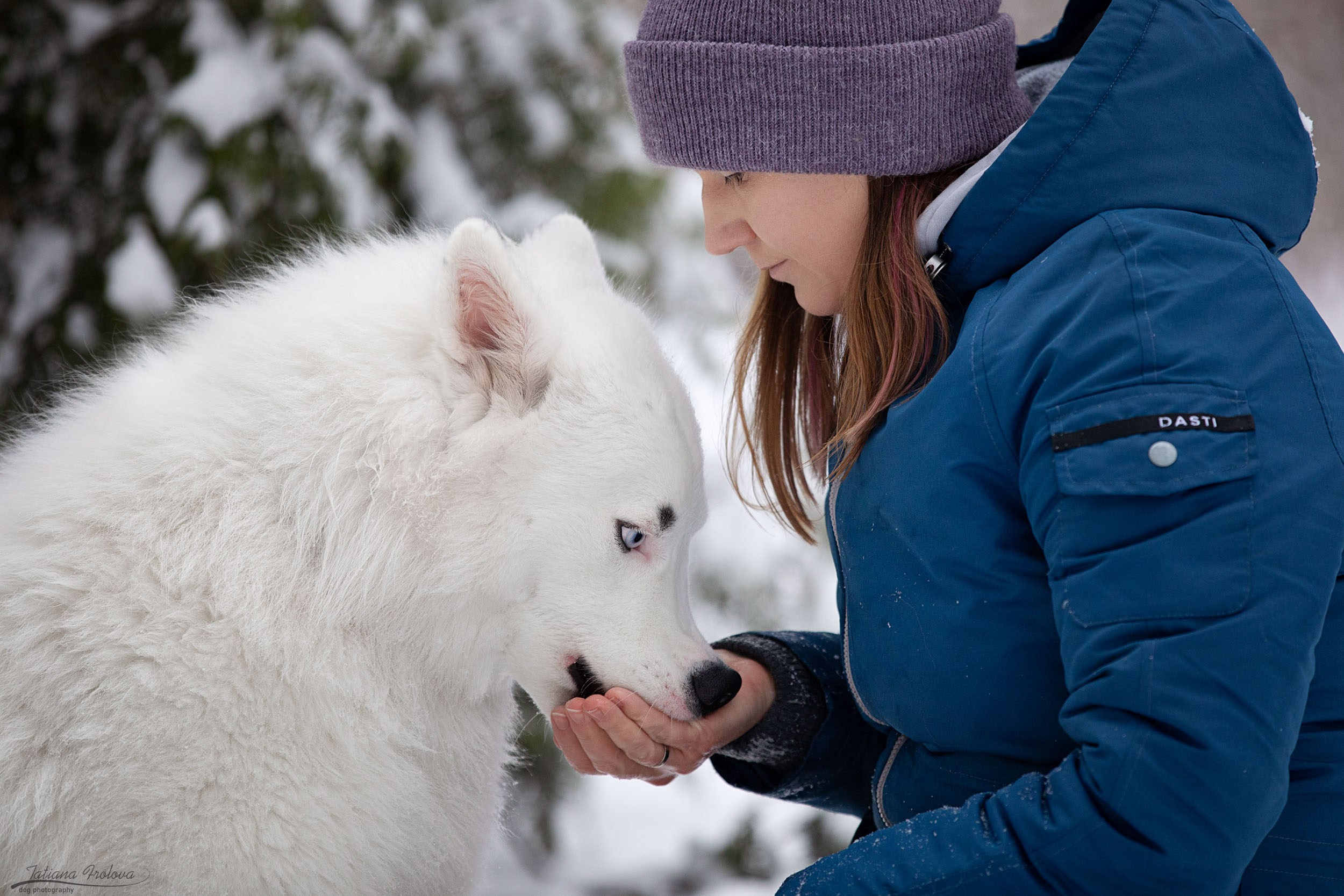 Фотопрогулка в парке Измайлово с якутской лайкой и его хозяйкой. Фотограф-анималист в Москве и Московской области Татьяна Фролова